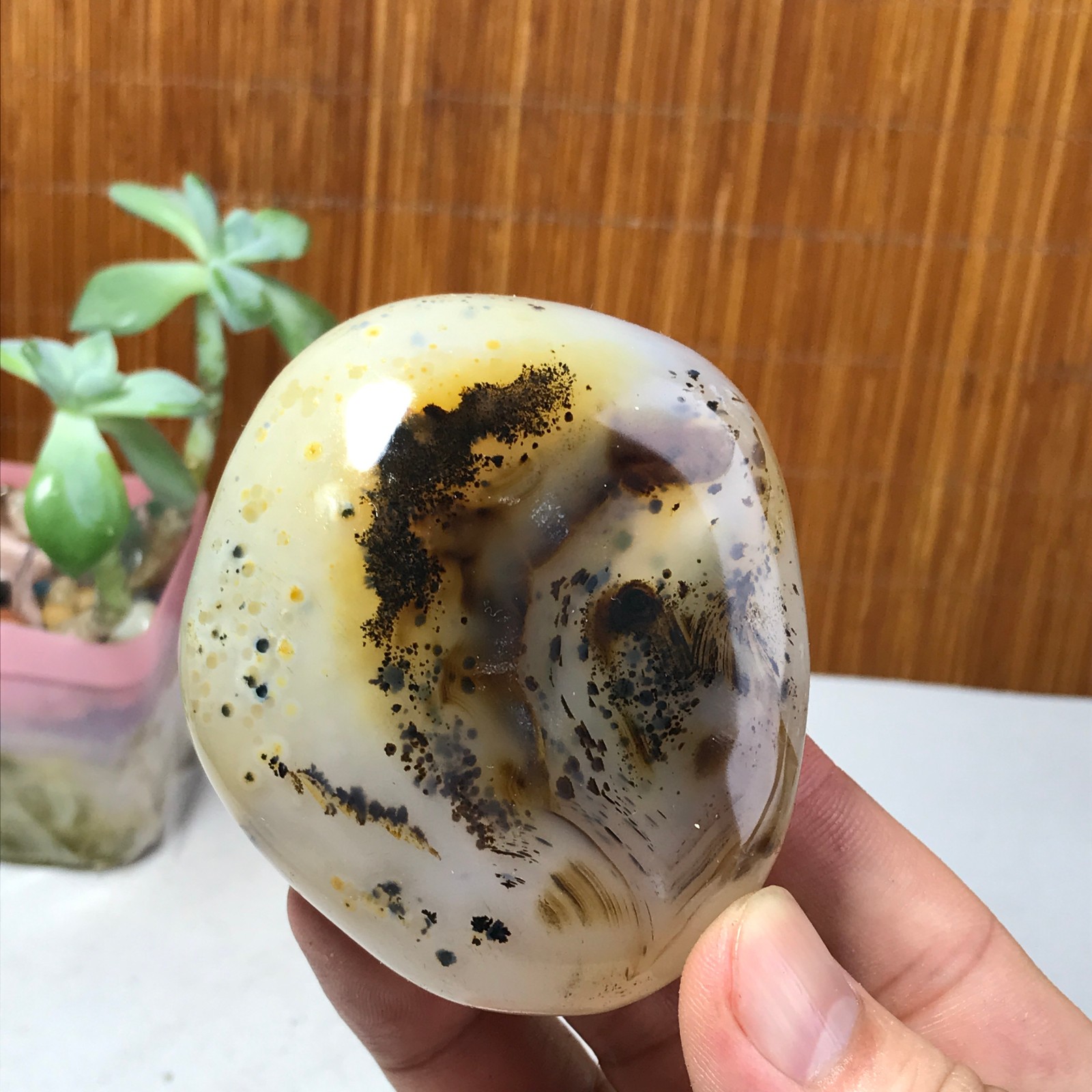 71mm Natural aquatic plants agate pretty Crystal specimens 210g A1637