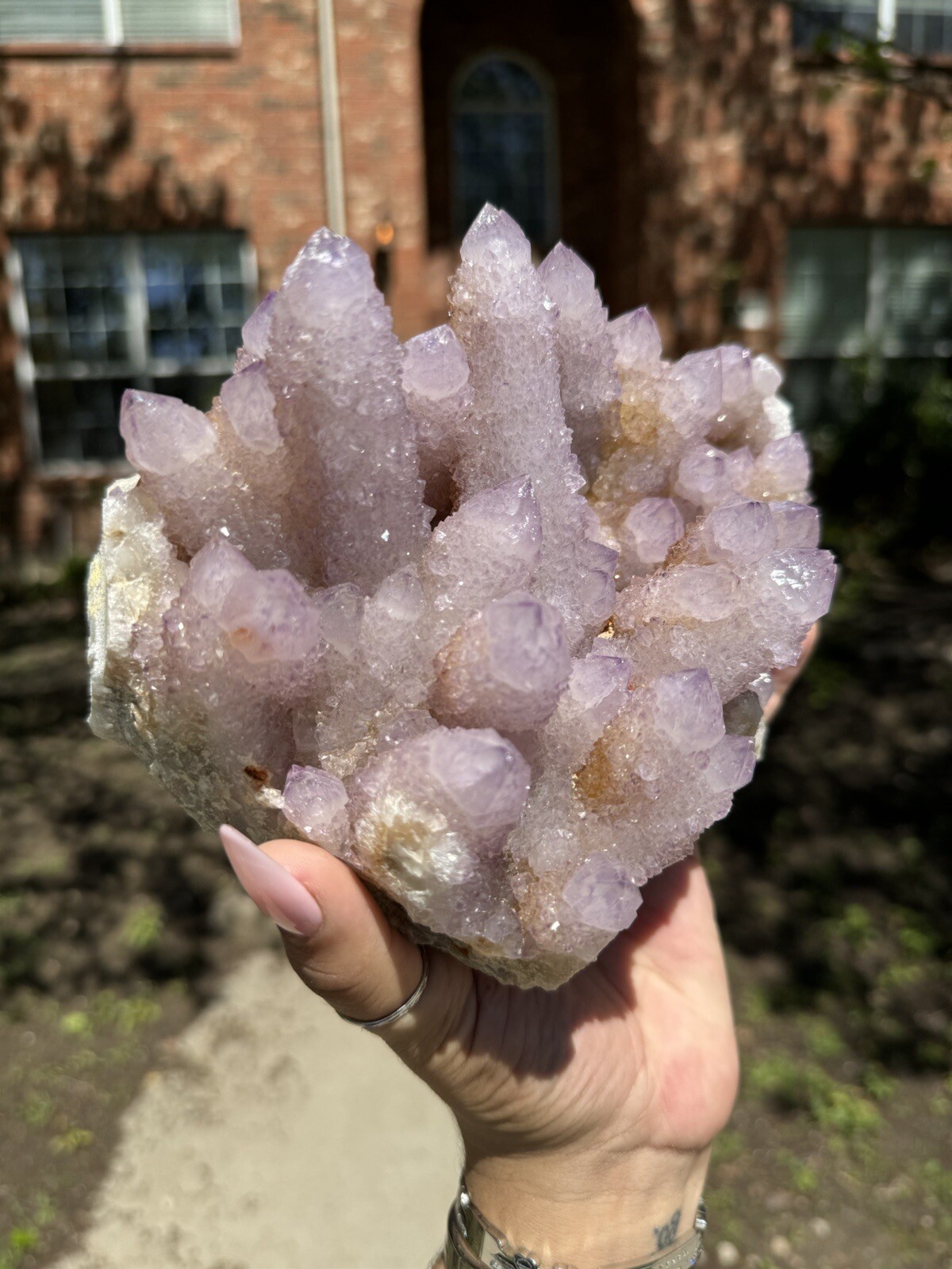 High Grade XXL (5.7lbs) Long Finger Deep Lavender Spirit Cactus Quartz cluster
