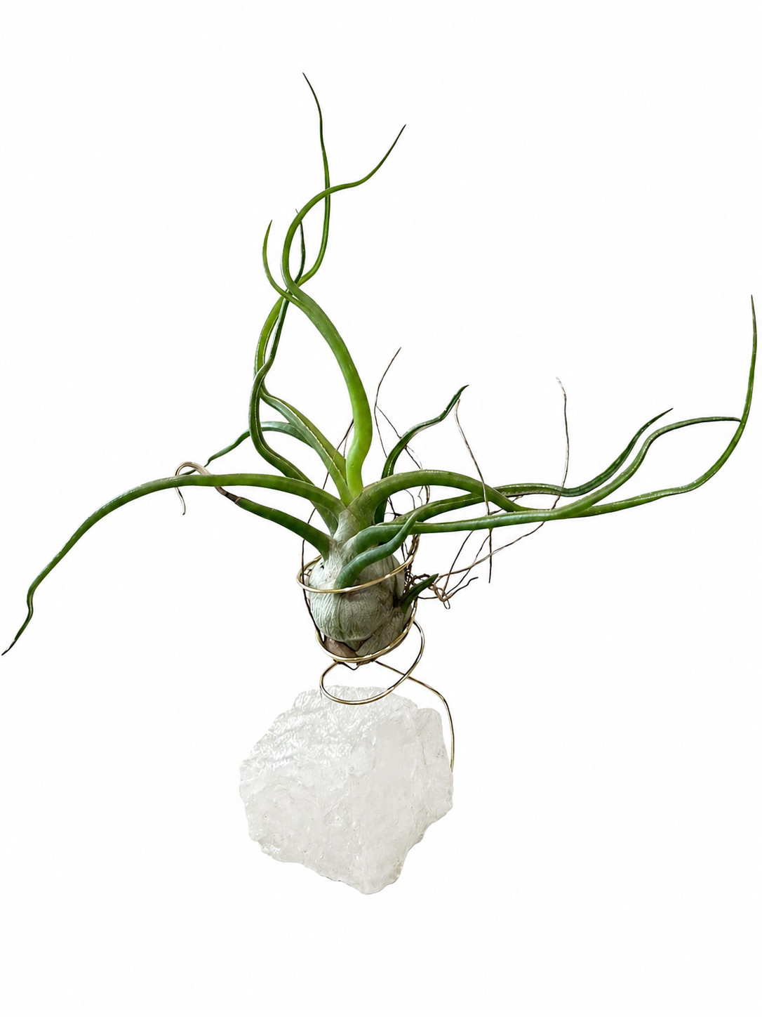 Air Plant Holder Geode Crystal w/ Bulbosa + Spray Bottle & Care Kit BOHO GIFT
