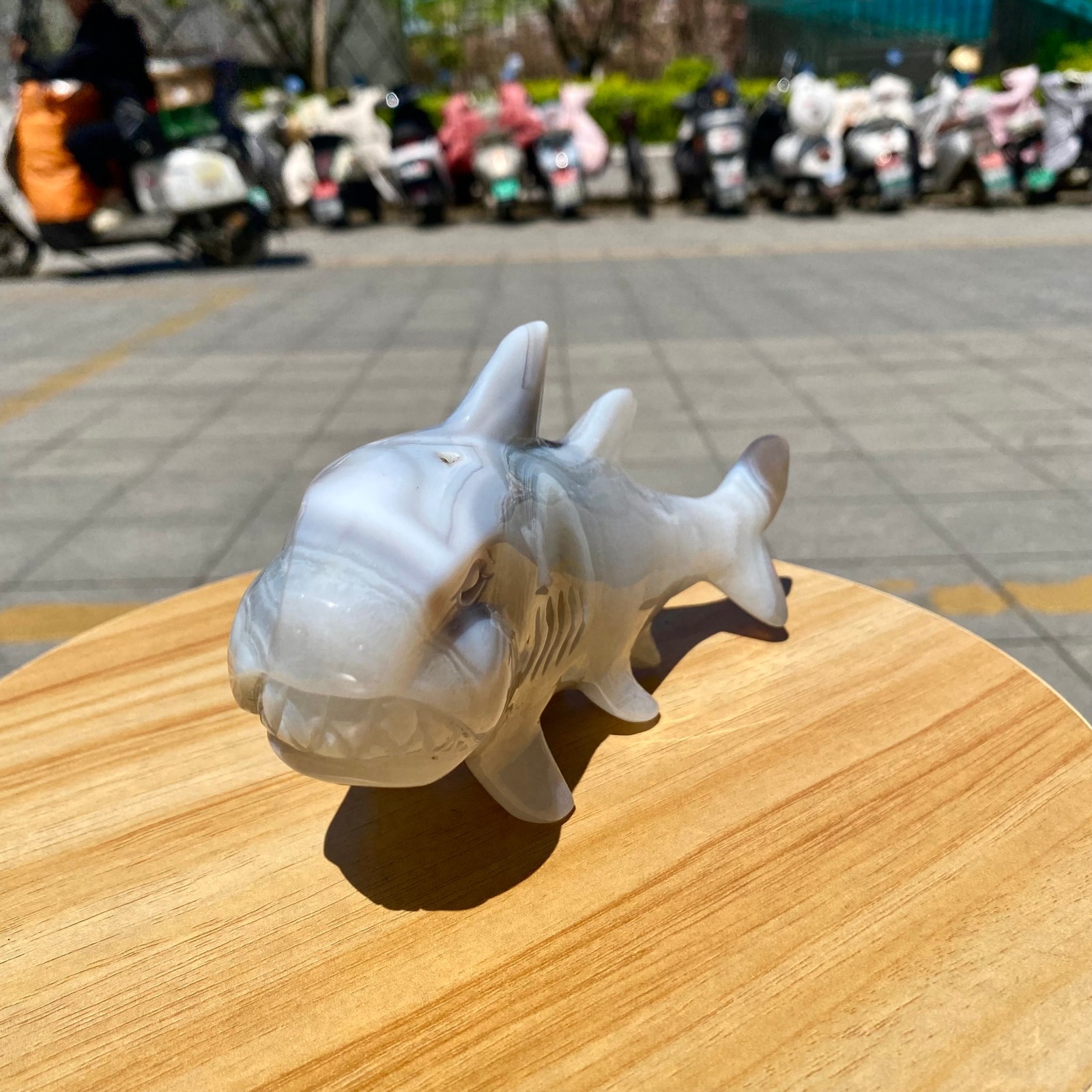 1.41LB Natural Agate Hand Carved Shark Figurine, Ocean Power Crystal Statue