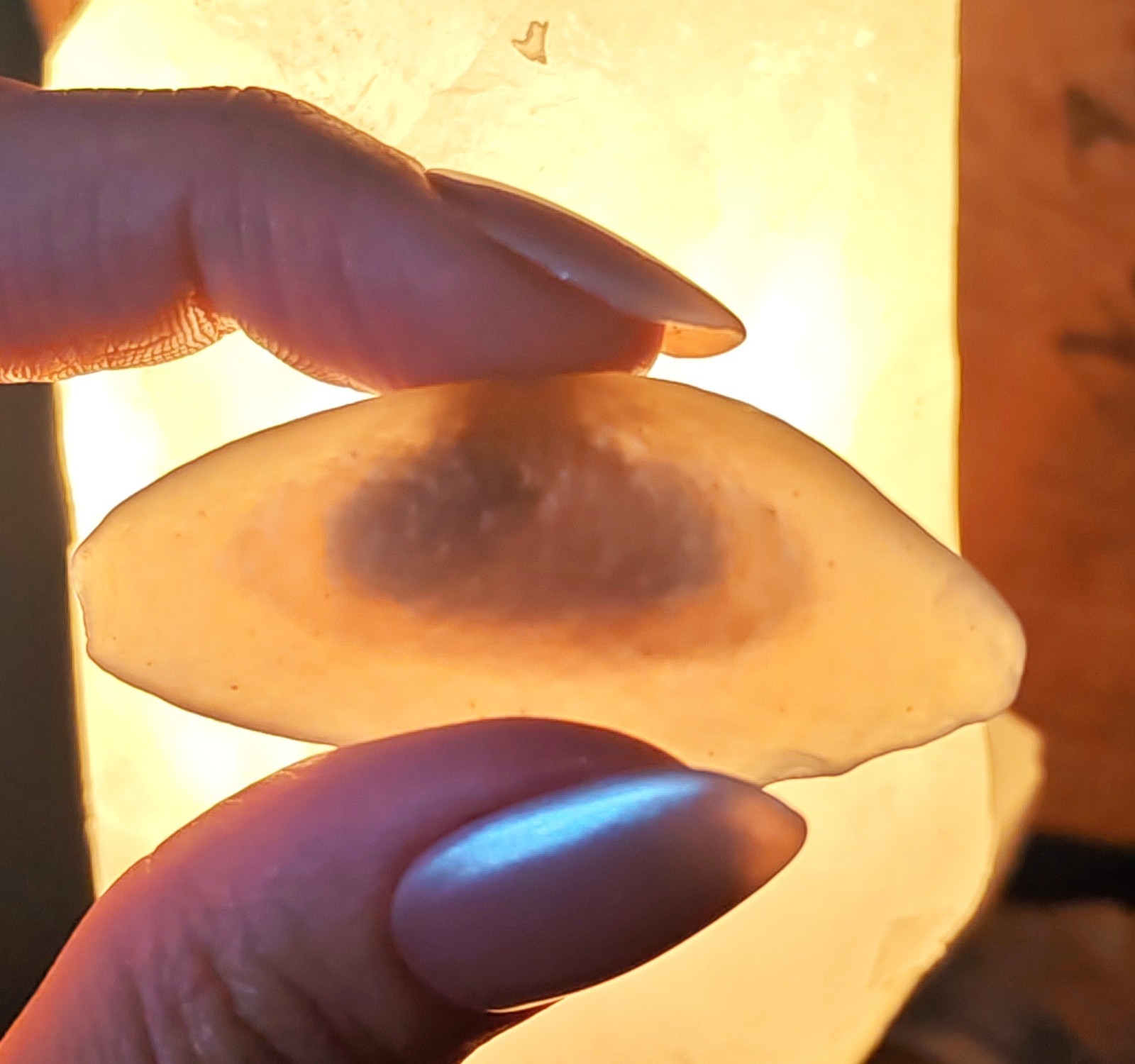 RARE! Gobi Desert Agate With Moving Sand Inclusions Sediment Enhydro Crystal