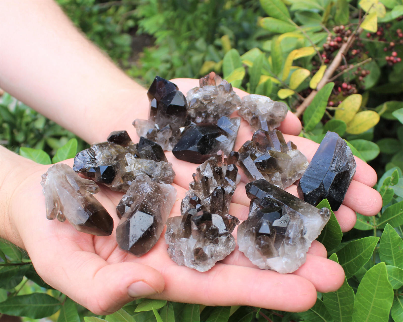 Smoky Quartz Crystal Clusters: 6-9 Piece Wholesale Bulk Box Lot (Smokey Quartz)
