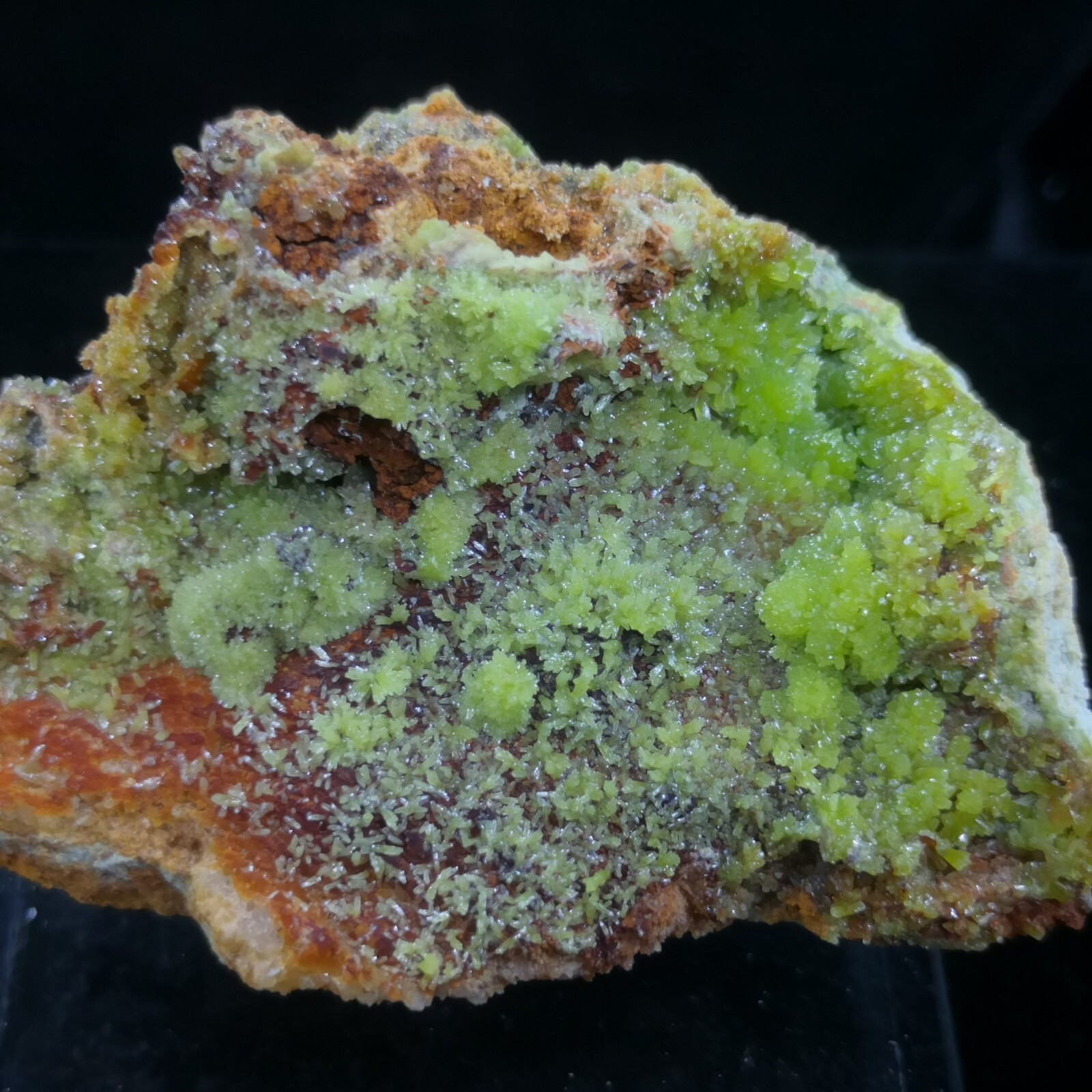 73mm 113g Drusy Fresh Green Pyromorphite on matrix, Natural Mineral Specimen
