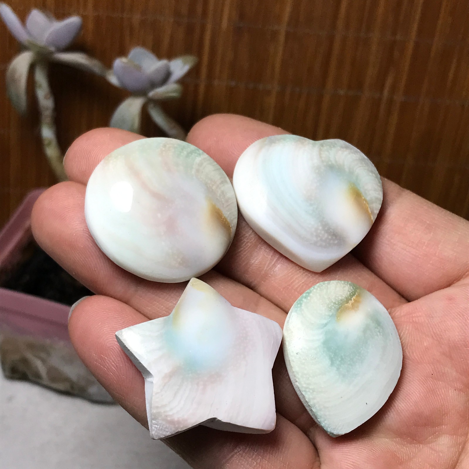 4Pcs Natural sun shell star Heart Reiki Shiva Eye ocean quartz carve A3334