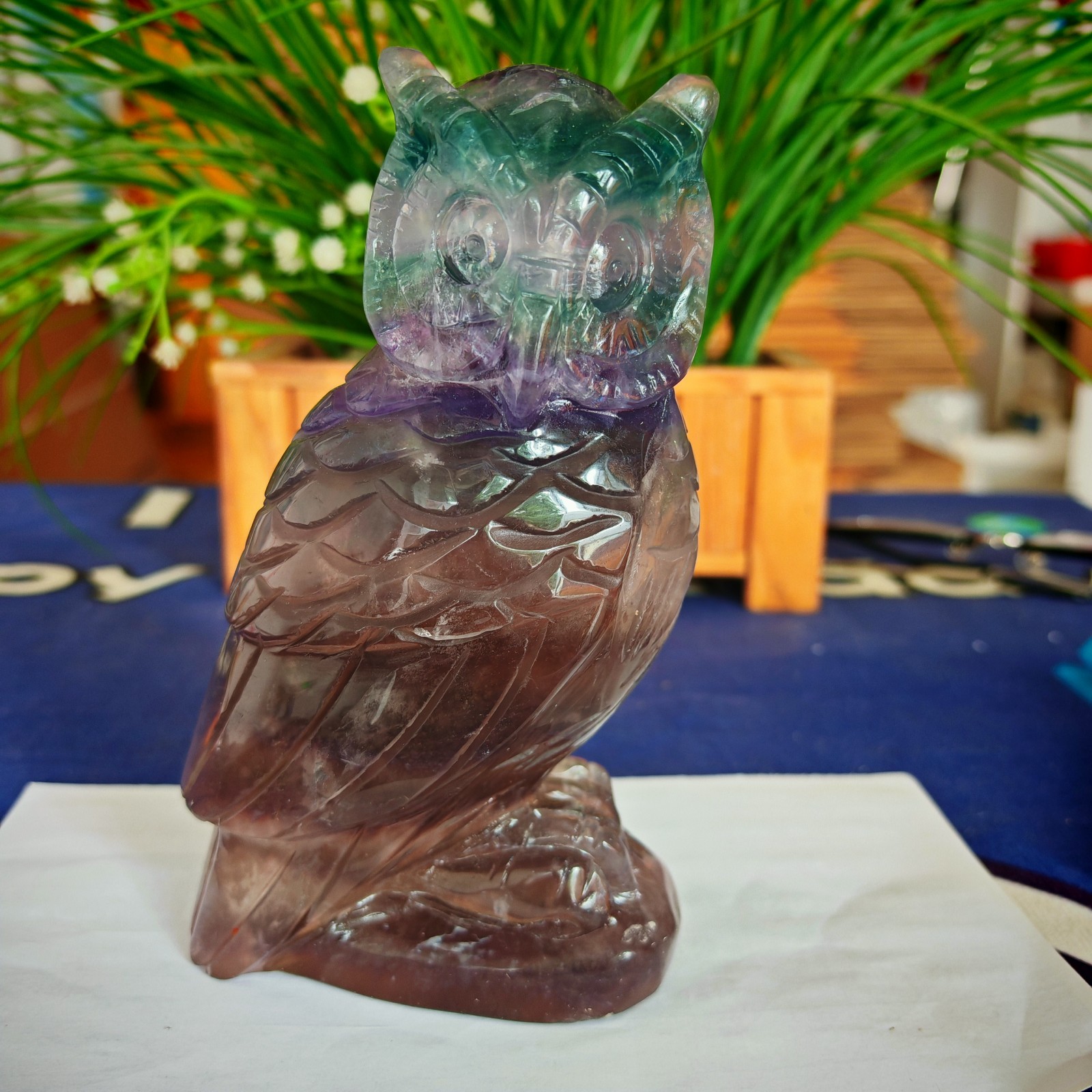2.53LB Natural crystal fluorite carved owl for Owl Lovers gift healing