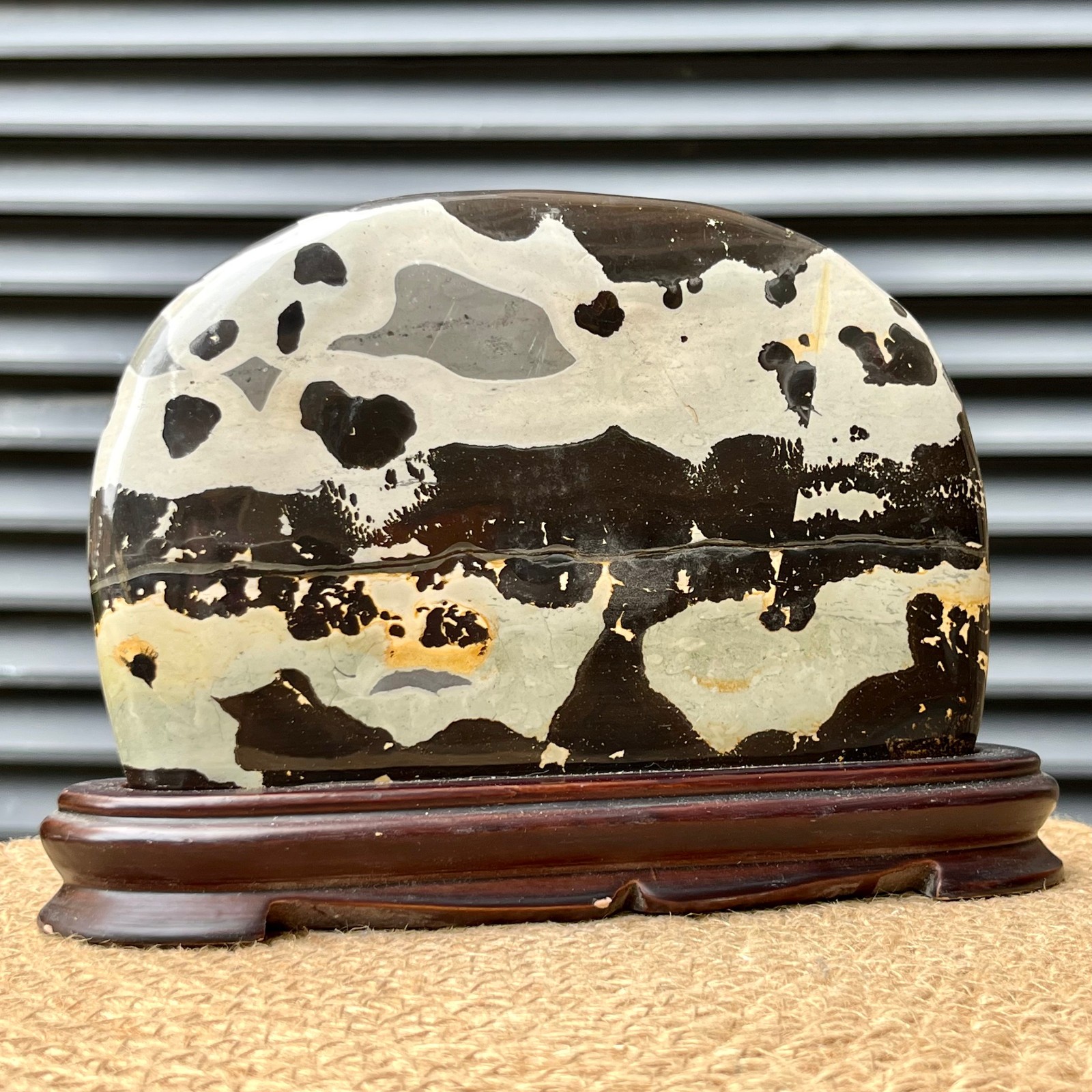 2.5 lb Scenic Stone Natural Pattern Polished Display Art Wood Base