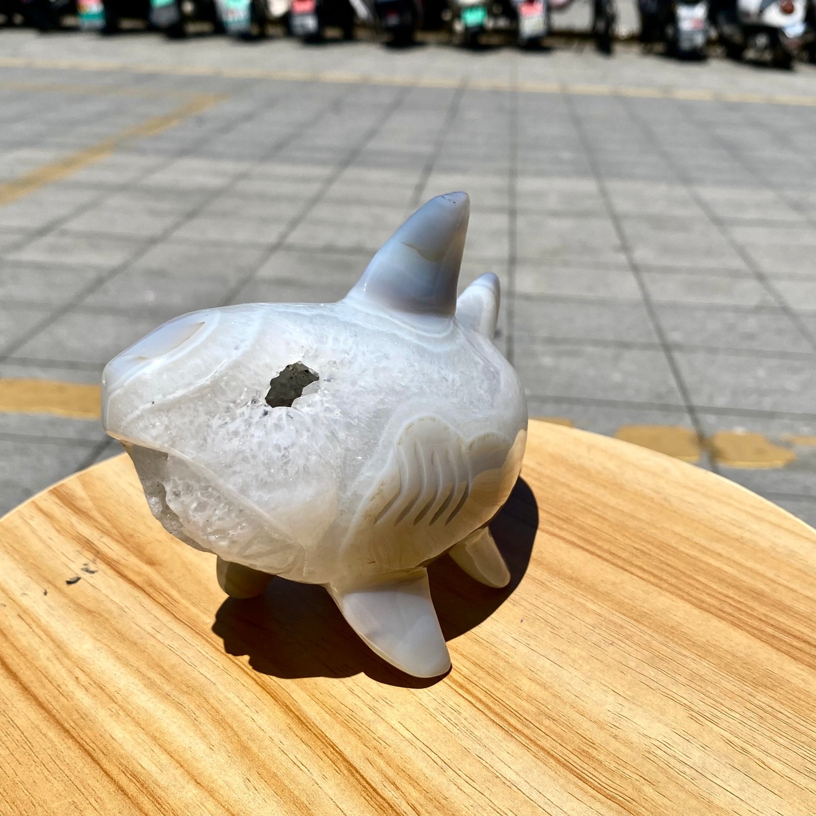 1.65LB Natural Agate Hand Carved Shark Figurine, Ocean Power Crystal Statue