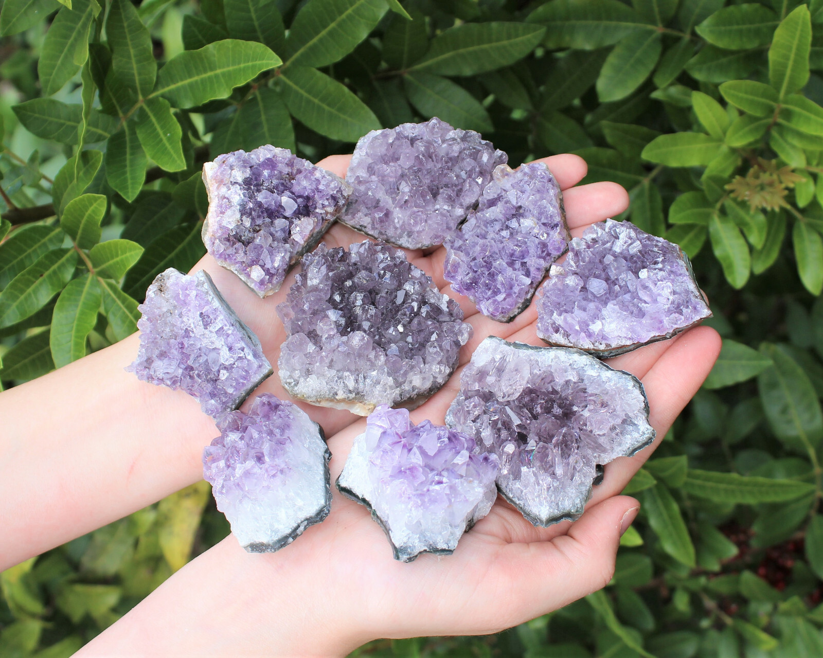 Wholesale Amethyst Cluster Box: B/C Grade CLEARANCE Box Bulk Amethyst Geodes