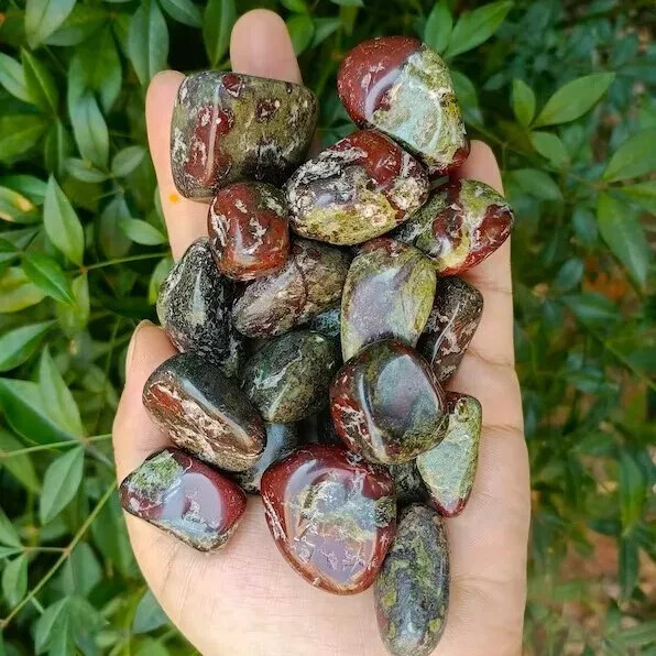 3PCS Tumbled Dragon Bloodstone Healing Palmstone Mineral Specimen Spiritual Gift