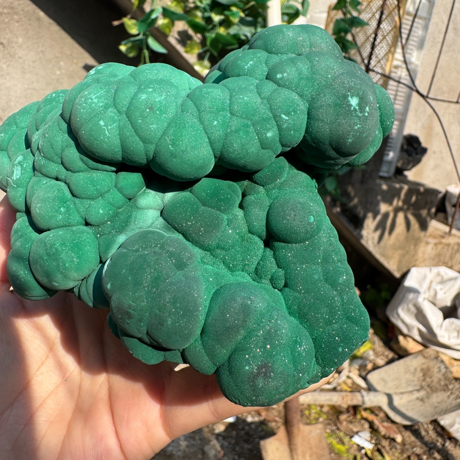 1180G Natural Malachite crystal quartz Mineral Specimen Reiki congo