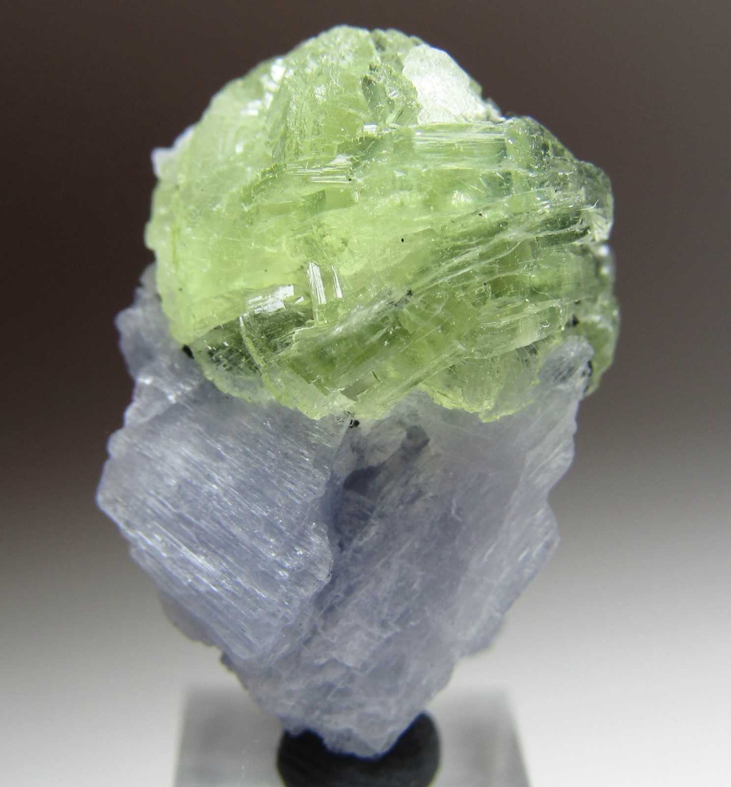 MAGICAL RARITY TANZANITE ON PREHNITE CRYSTAL!!! TANZANIA NEW FIND