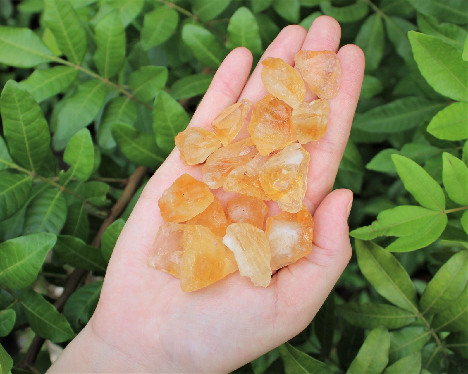 Rough Citrine CHIPS, Loose 1 lb Bulk Lot (16 oz Raw Crystal Chips) Crafting