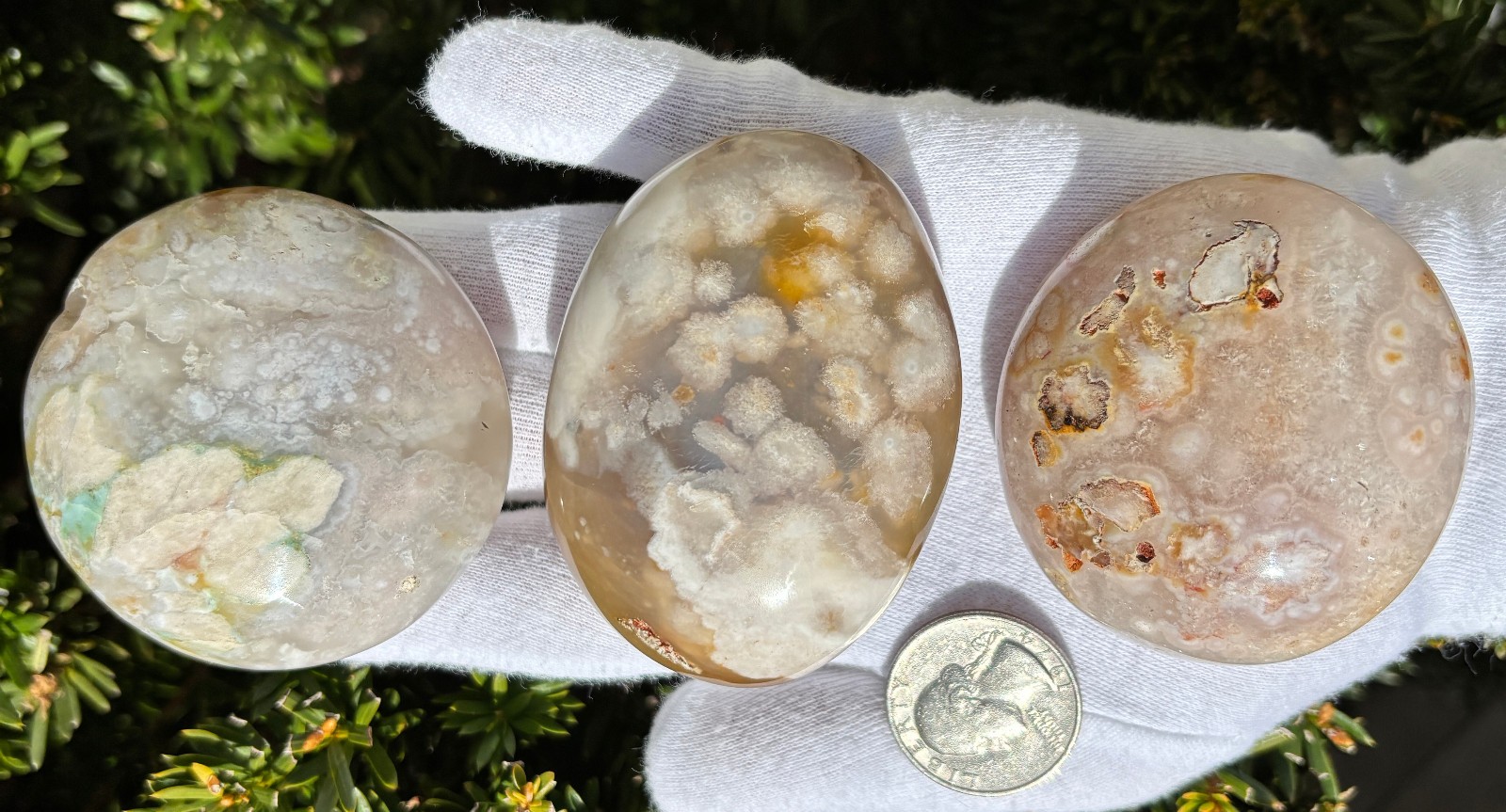 USA SALE 3/4Lb 367g LOT 3 FLOWER BLOSSOM AGATE PALMSTONES Palm Stones Stone