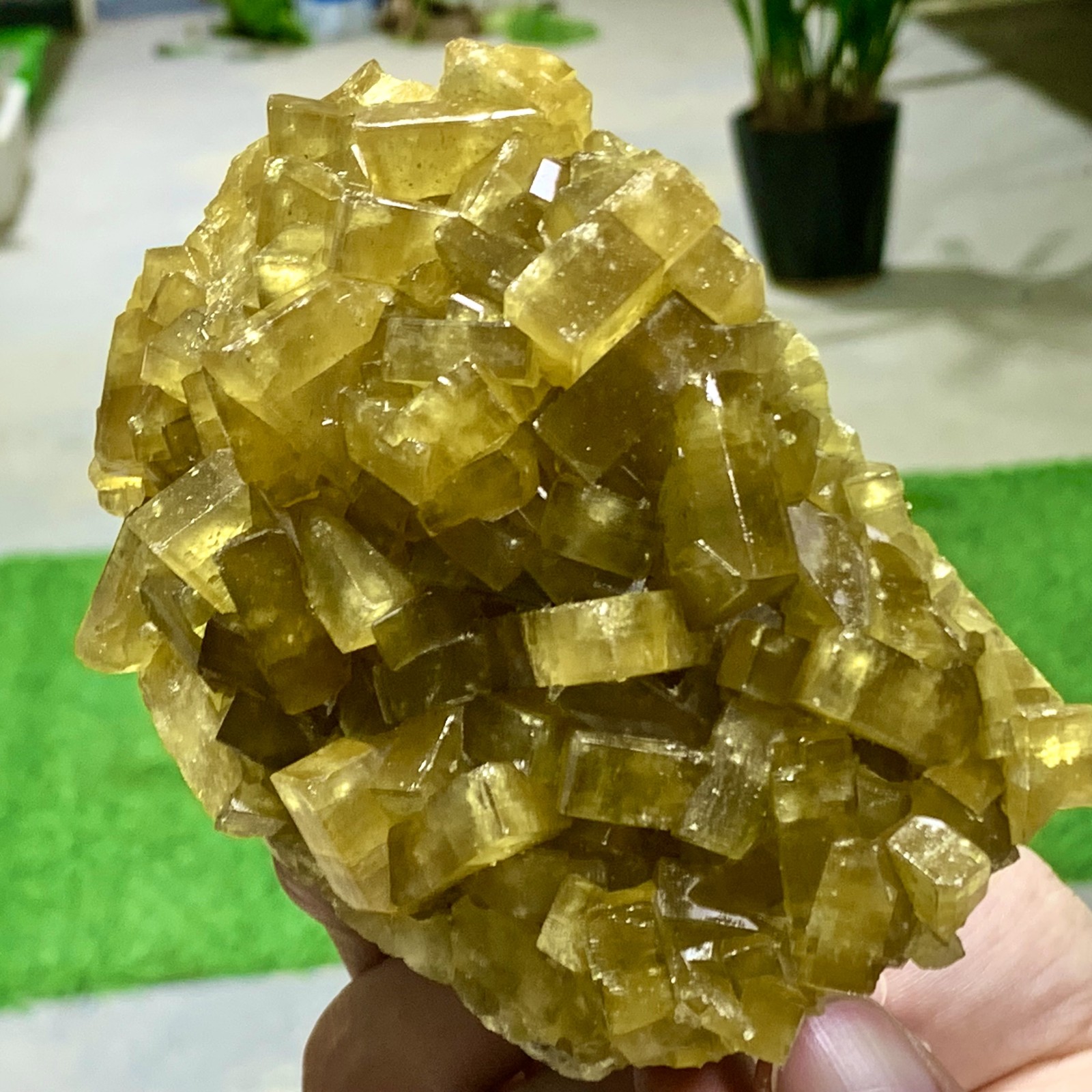 1.87LB Shiny Golden Cuboid Barite Crystal Based on the Purple Spherical Fluorite