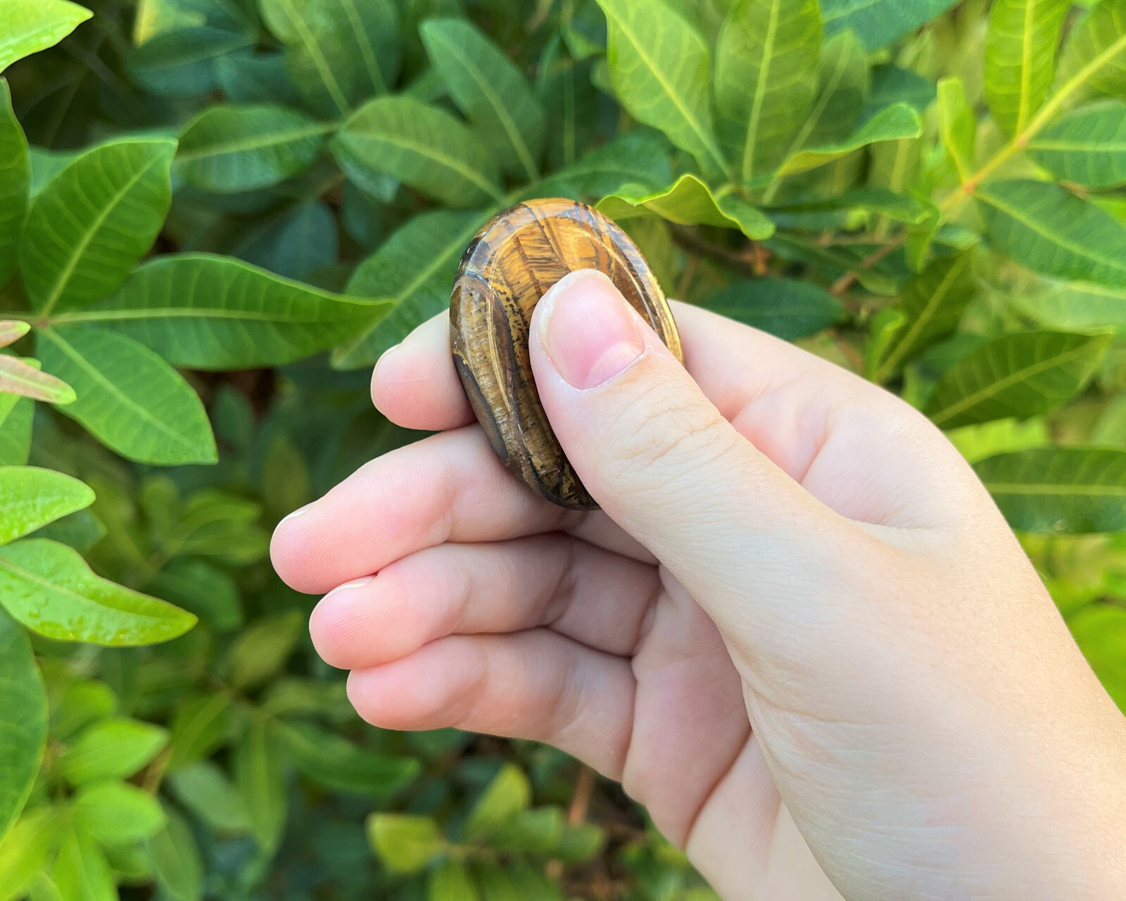 Gold Tiger Eye Worry Stone (Polished Gemstone, Gold Tiger Eye Pocket Palm Stone)