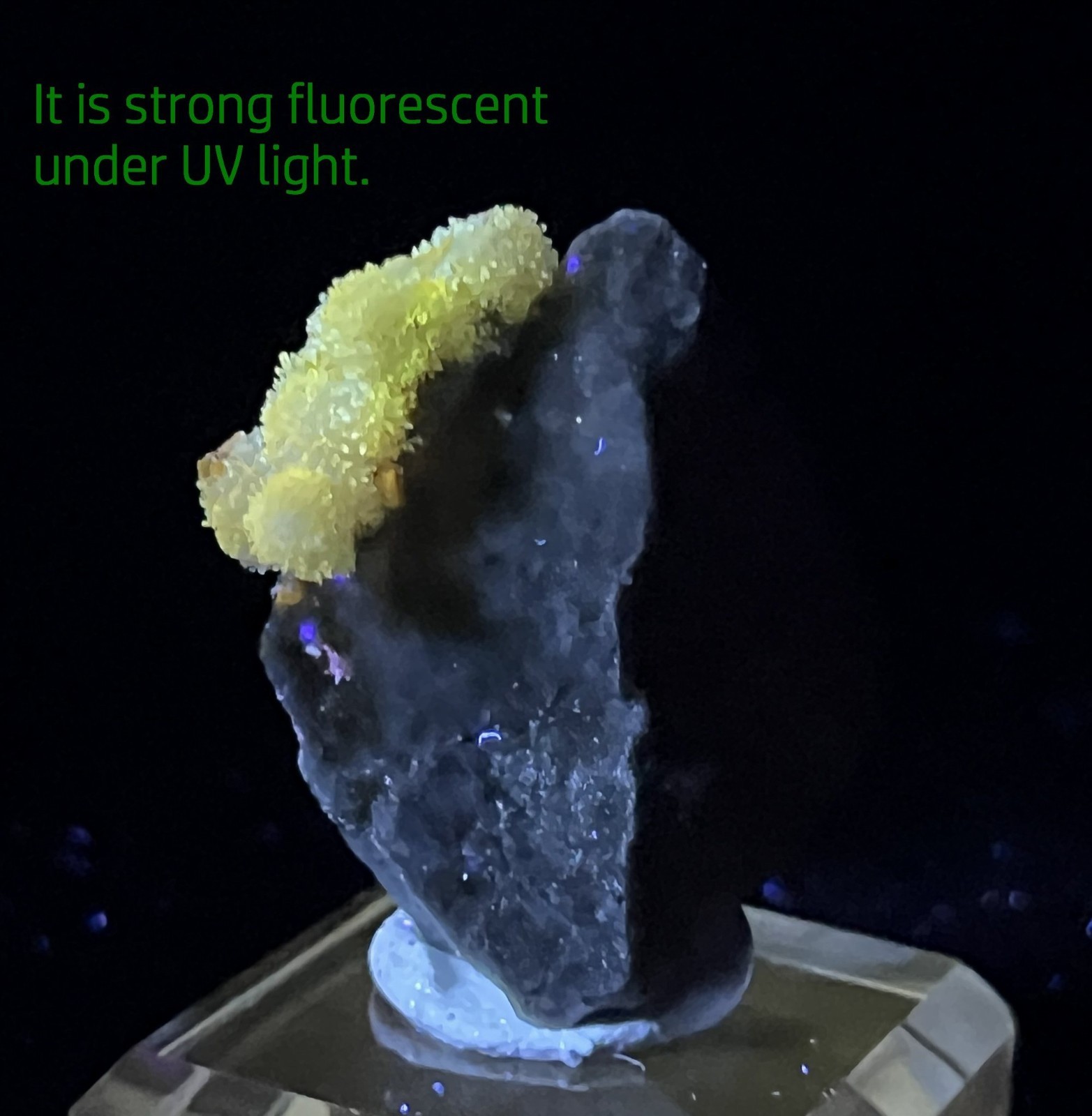 34mm Carlhintzeite & Creedite flower on matrix, FLUORESCENT