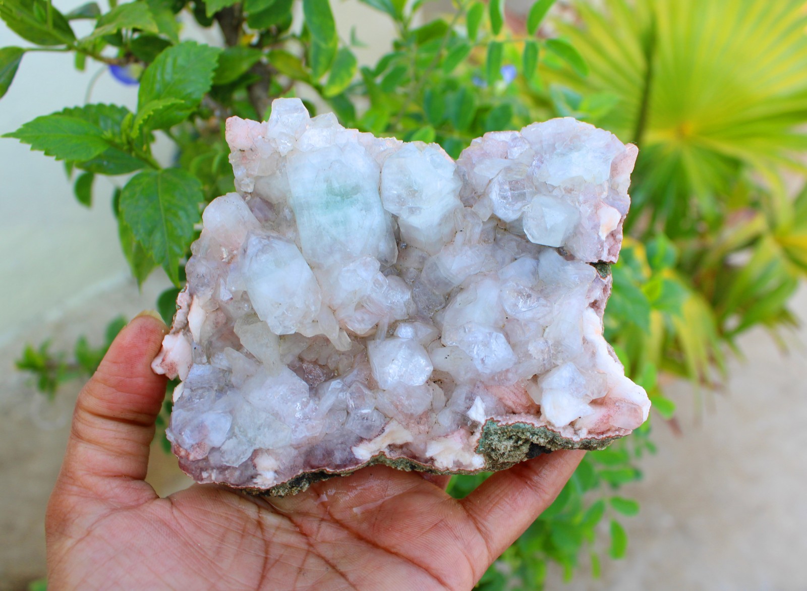 GREEN APOPHYLLITE CRYSTALS ON MATRIX MINERALS SPECIMEN #A43