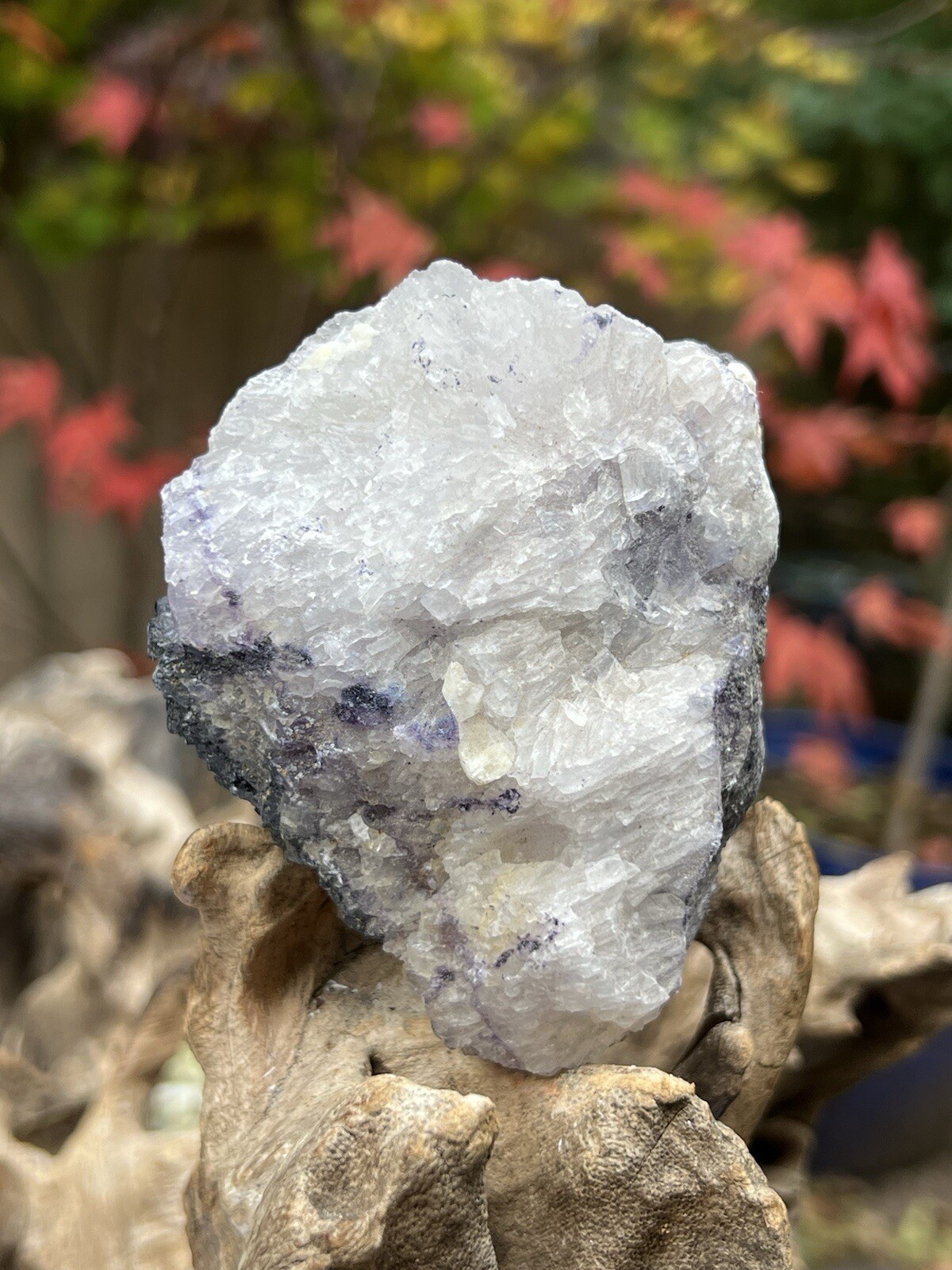 Blue John Fluorite Mineral Specimen United Kingdom 307g 10