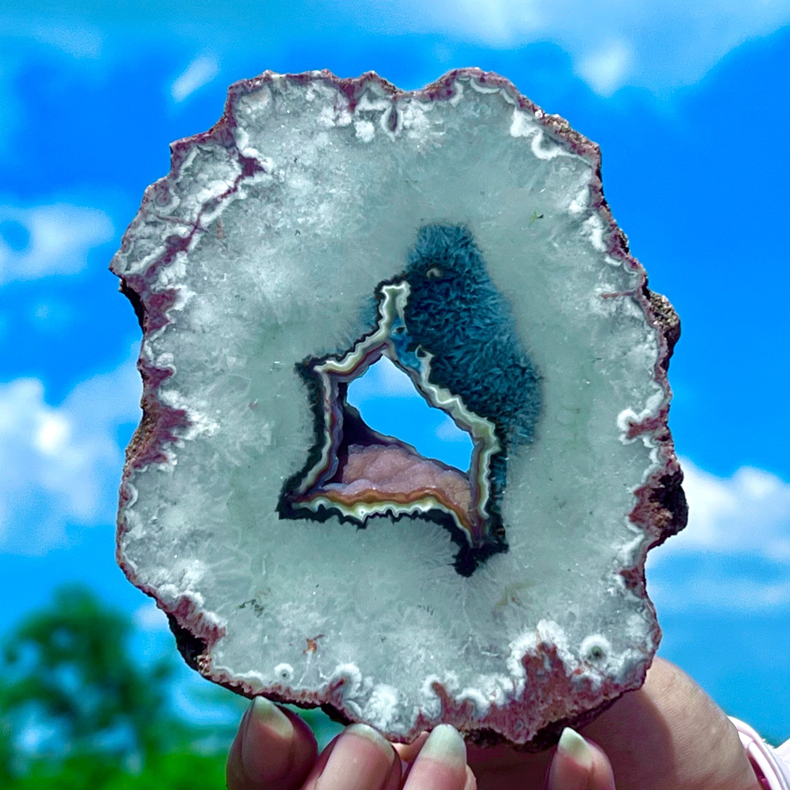 212G Natural Colorful Lace Agate Geode Slice Extra Large Gem From Argentina