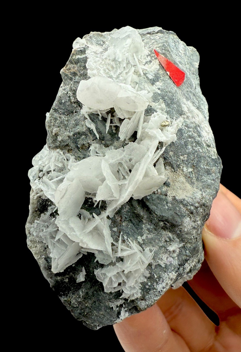 Fluorite w/ Calcite & Galena Crystals : Tacconis Mine . Sardinia , Italy 🇮🇹