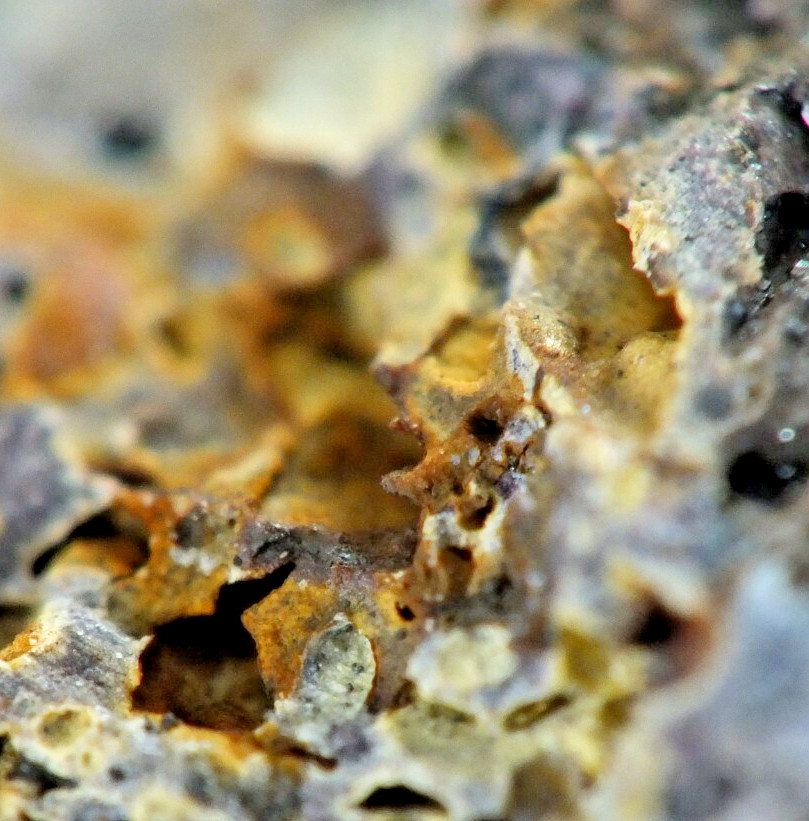 Pseudobrookite, Hematite & Anorthoclase The Anakies Victoria Australia. (EA9940)
