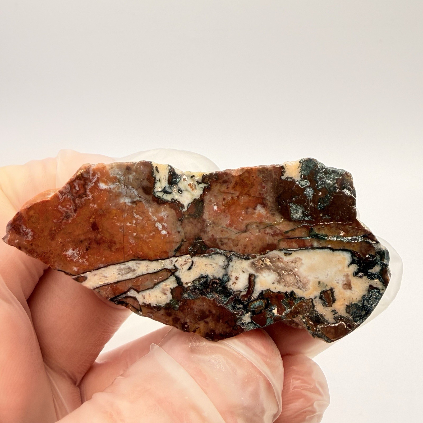 Moroccan Jasper Agate Specimen 3 in Polished Brecciated Jasper Slab 1.25 oz
