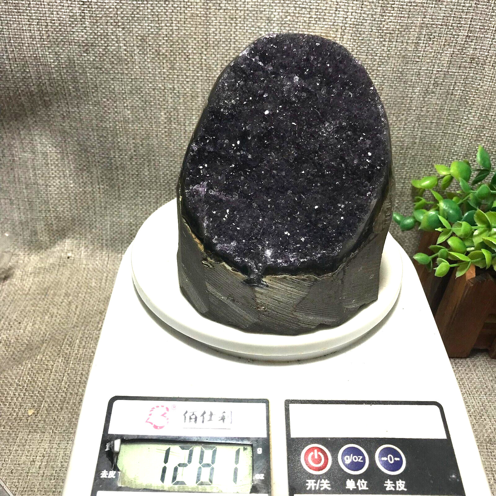 1281g Natural Amethyst Cluster Geodes Cut Base Quartz Crystal Healing 44