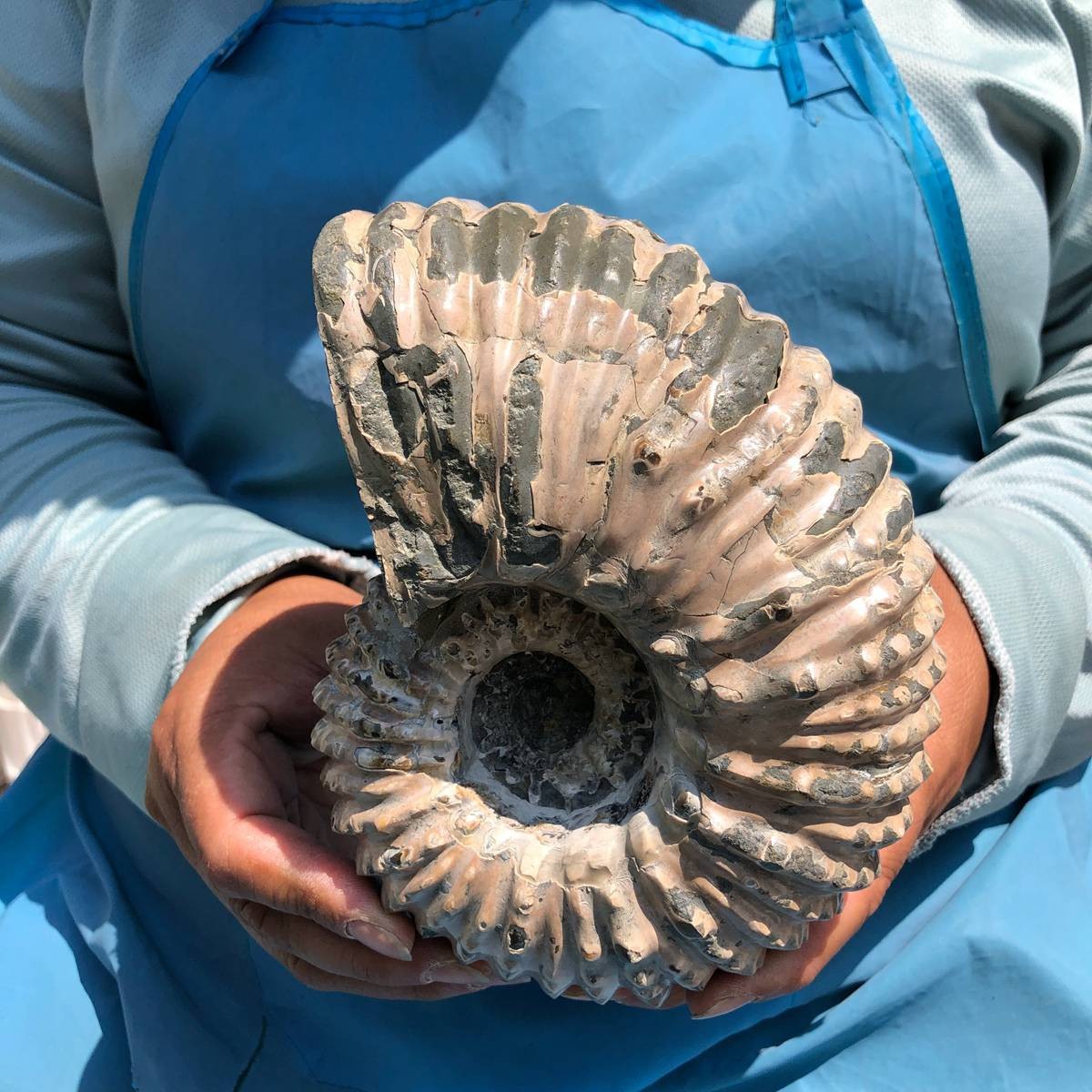 3.74LB Natural Beautiful Ammonite Fossil Conch Crystal Specimen Healing 5389