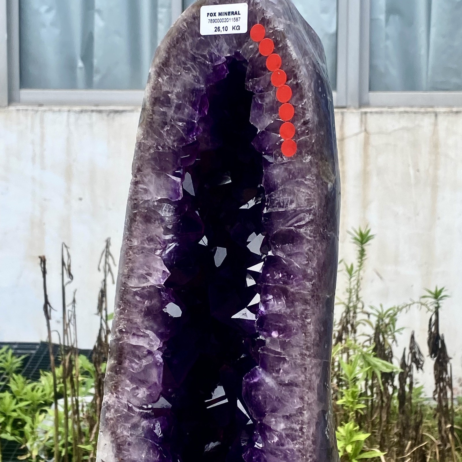 57LB Large Natural Amethyst Geode Cathedral Crystal Cluster Specimen Healing