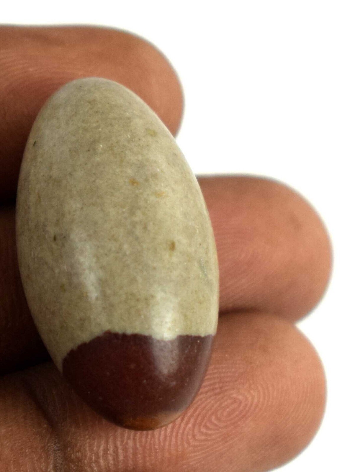 Shiva Lingam Natural Holy Healing Stone 11 Gram/1.22″ Perfect For Meditation