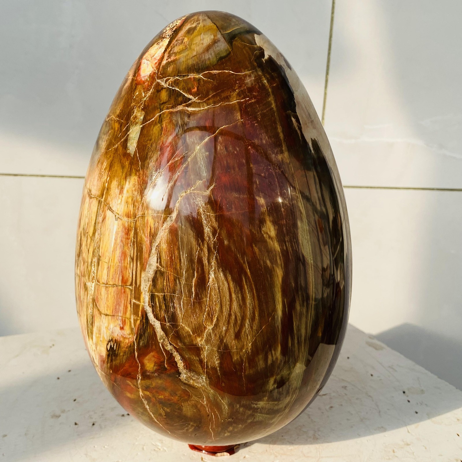 Natural Petrified Wood Egg Quartz Crystal Fossil Mineral 6340g