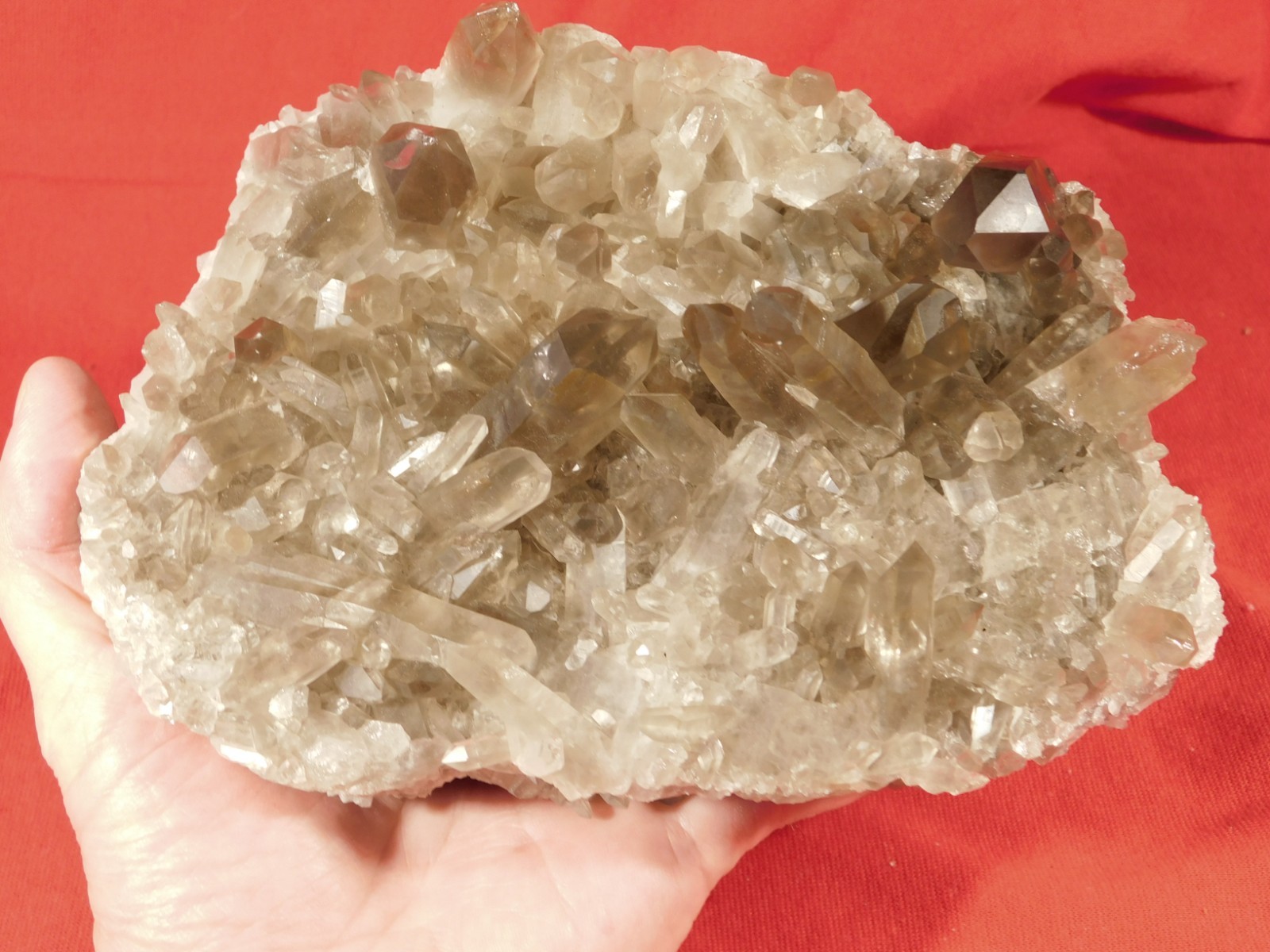 BIG! AAA SMOKY Quartz Crystal Cluster with Stand Brazil 1868gr