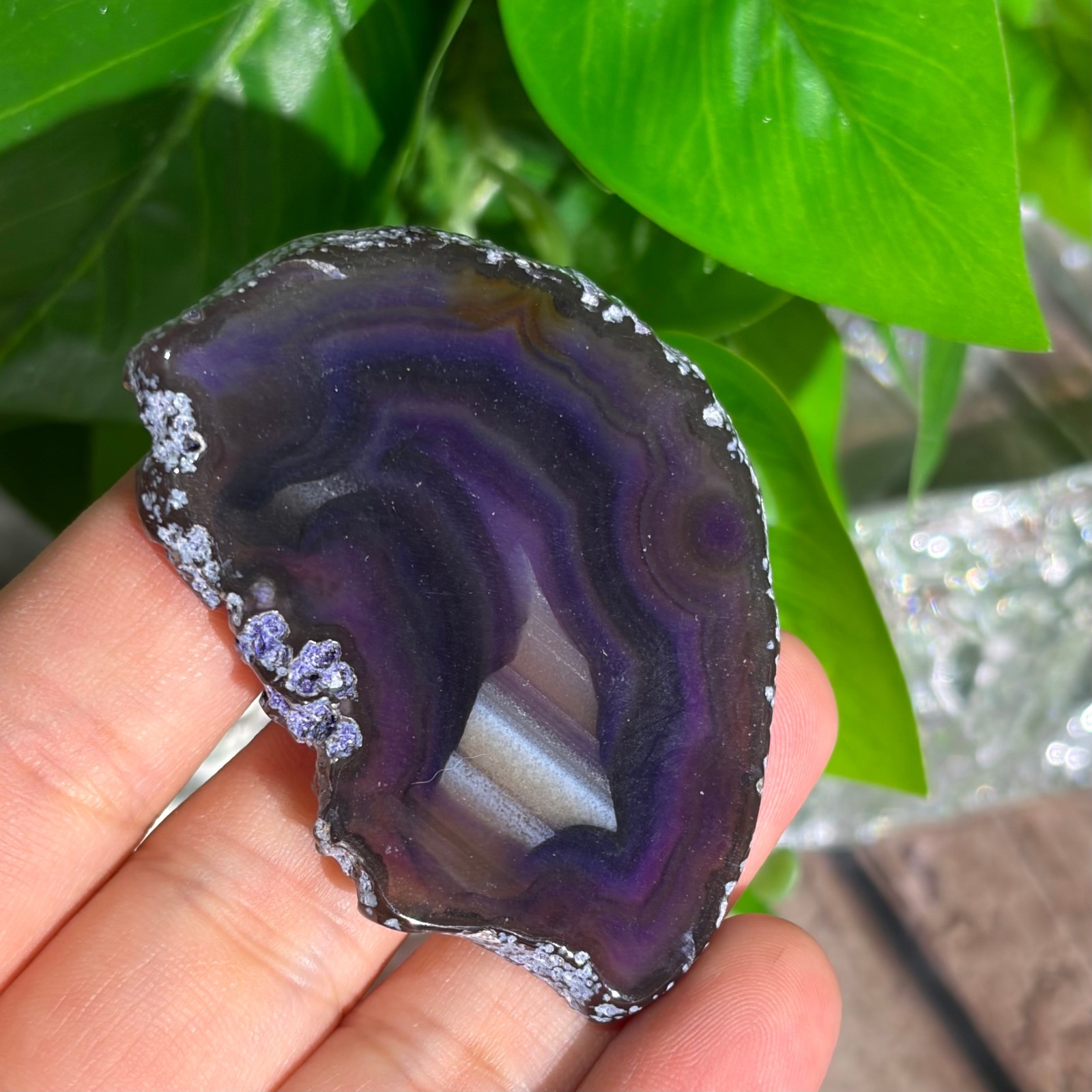 Agate Slices Bulk Lot – Random Colors & Shapes – Min 100g Guaranteed