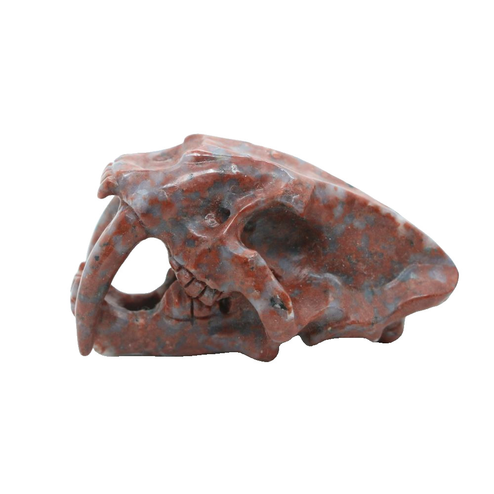 3″ RED WHITE STONE Carved Saber-toothed tiger Crystal Skull Random 1pc
