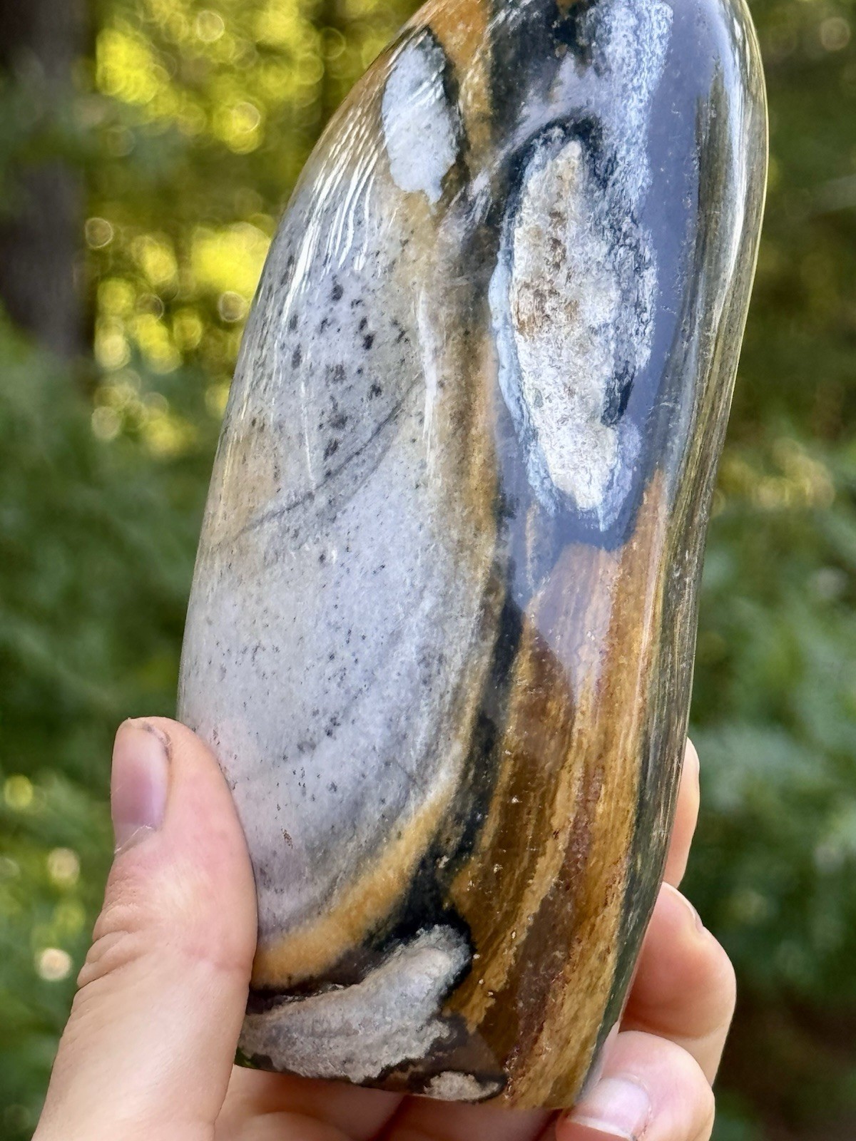 Large Polychrome Jasper Freeform 740g Polished Desert Jasper Display Stone