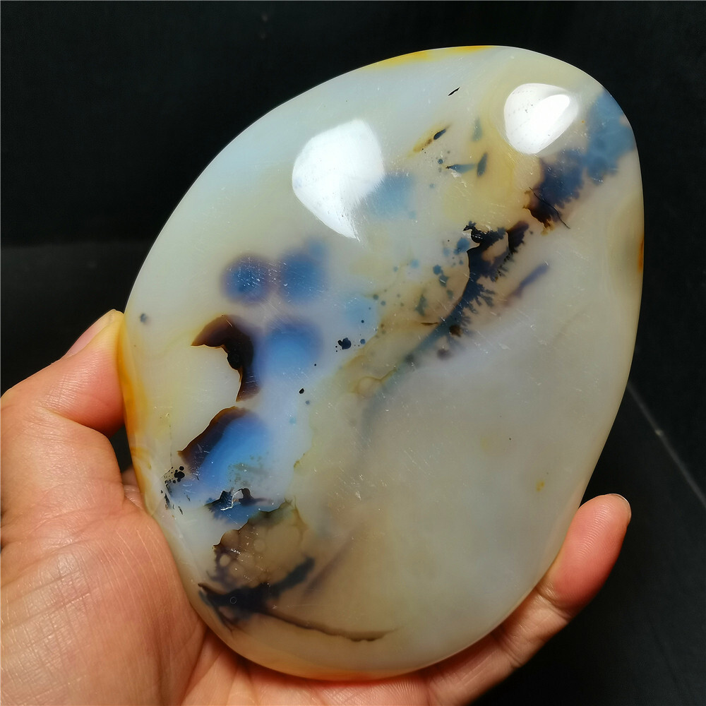 TOP 384 G Natural Polished Aquatic Plants Agate Crystal Madagascar BY384