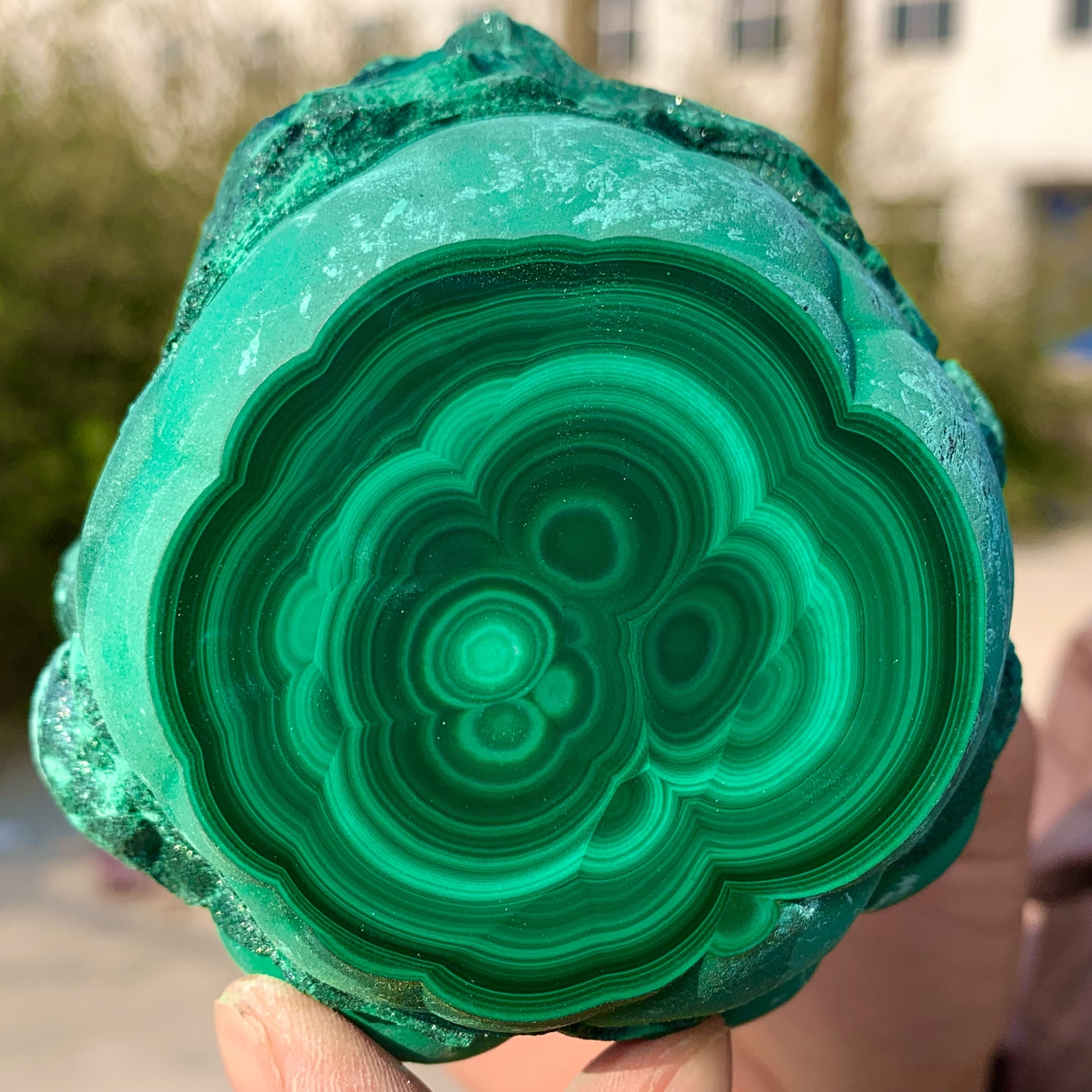 1.39LB Natural glossy Malachite transparent cluster rough mineral sample