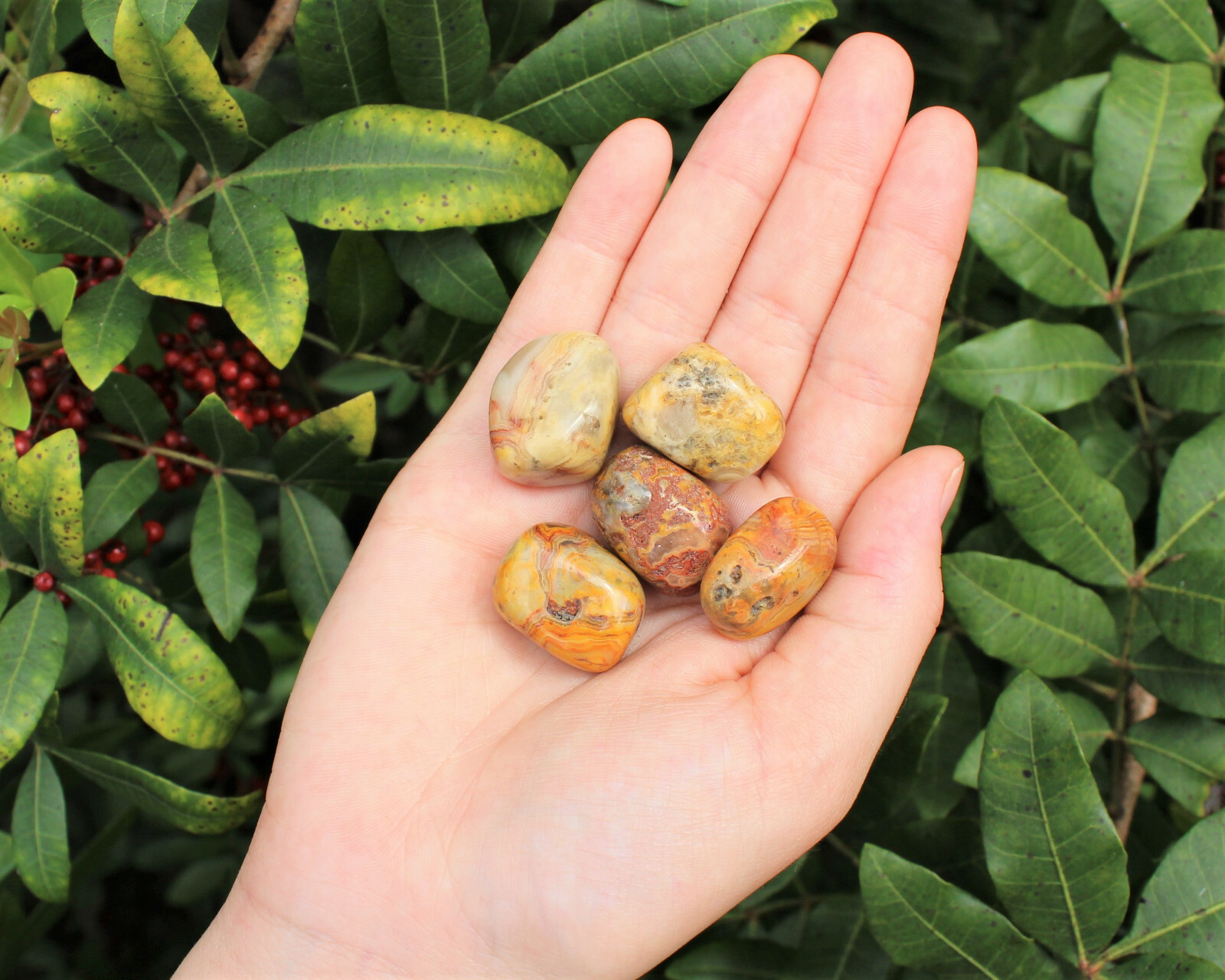 Bulk 1/4 lb lot Crazy Lace Agate Tumbled Stone (Crystal Healing Gemstone) 4 oz