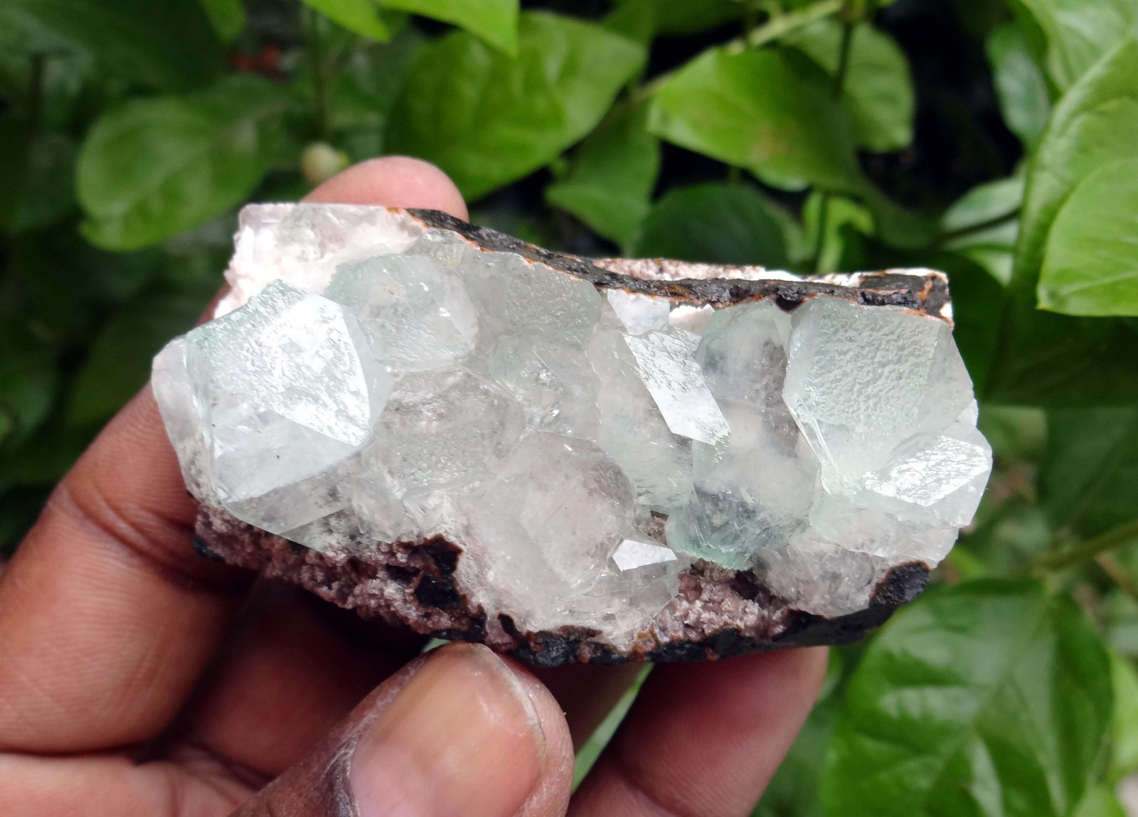 apophyllite crystals & matrix minerals specimen j-7