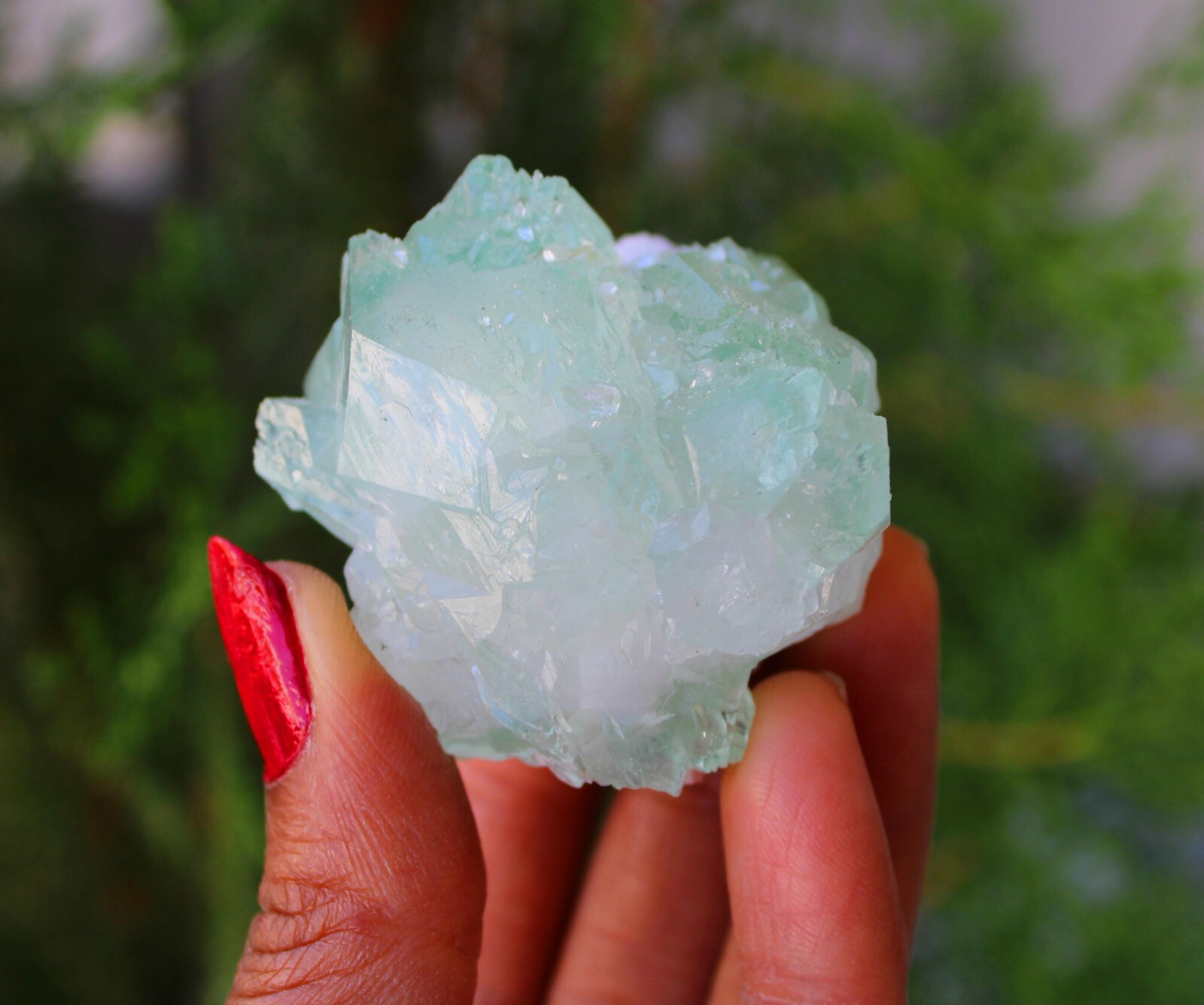 Green Apophyllite Crystal w/ Okenite Natural Minerals Specimen ( 5×4 Cm’s )