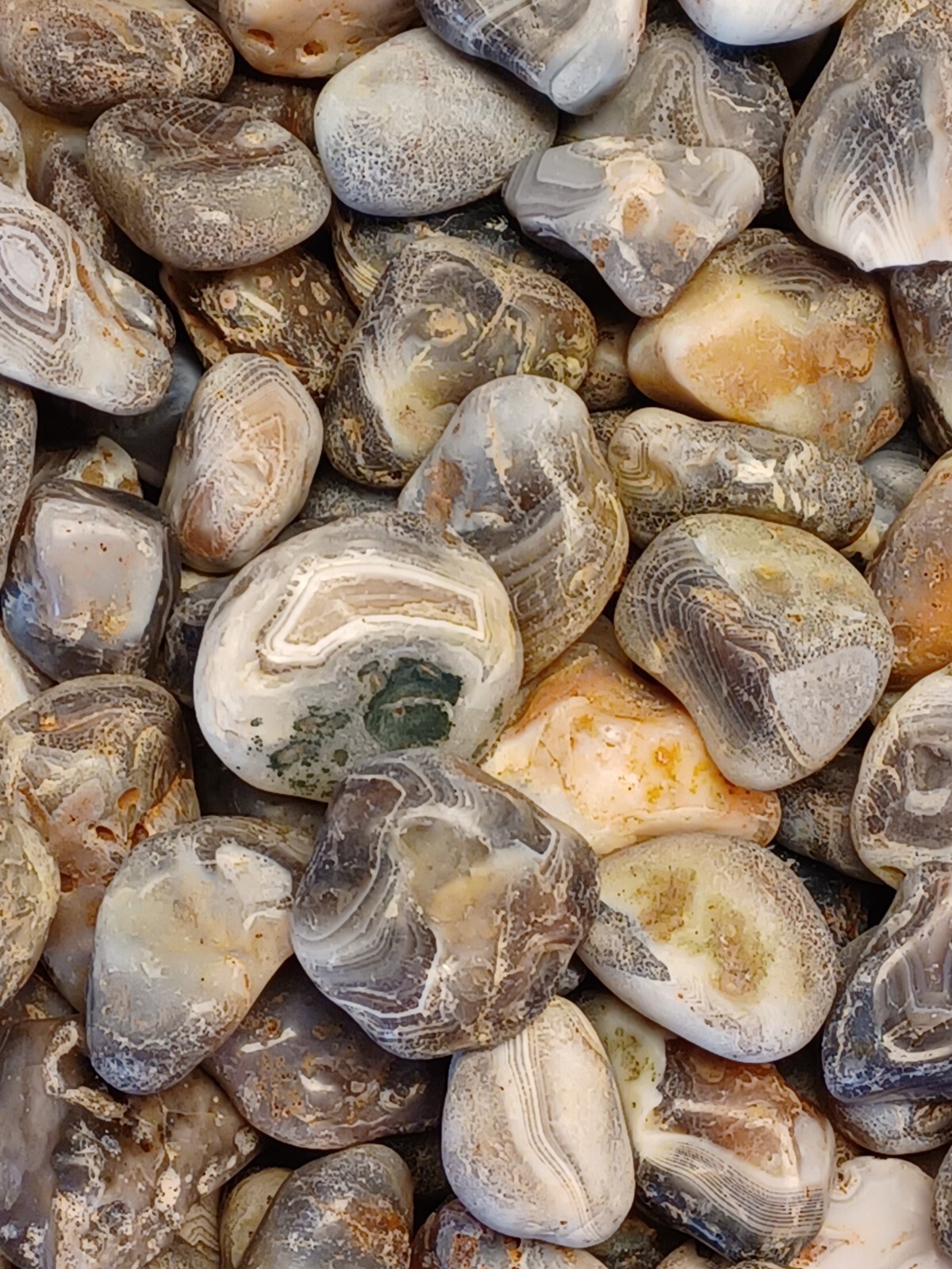 Botswana Agate rough 1-2″ A+ pound lbs tumbling lapidary banding wholesale bulk