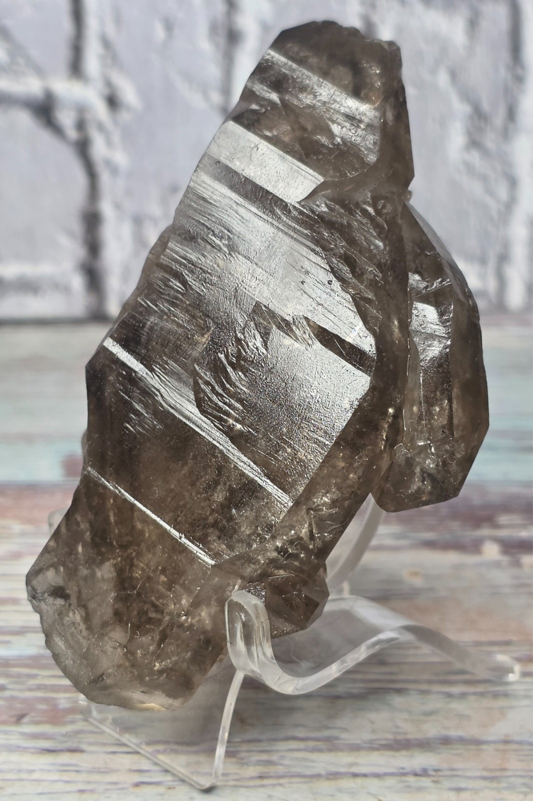 Natural Brazilian Smoky Enhydro Quartz Crystal Moving Bubble 207.63g Rare