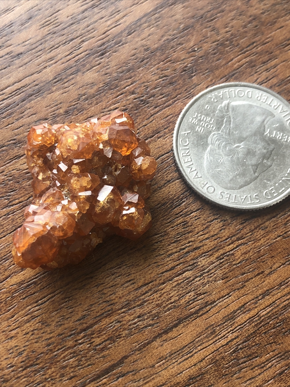 1 Inch Natural Spessartine Orange Garnet Crystal Cluster Mineral Specimen