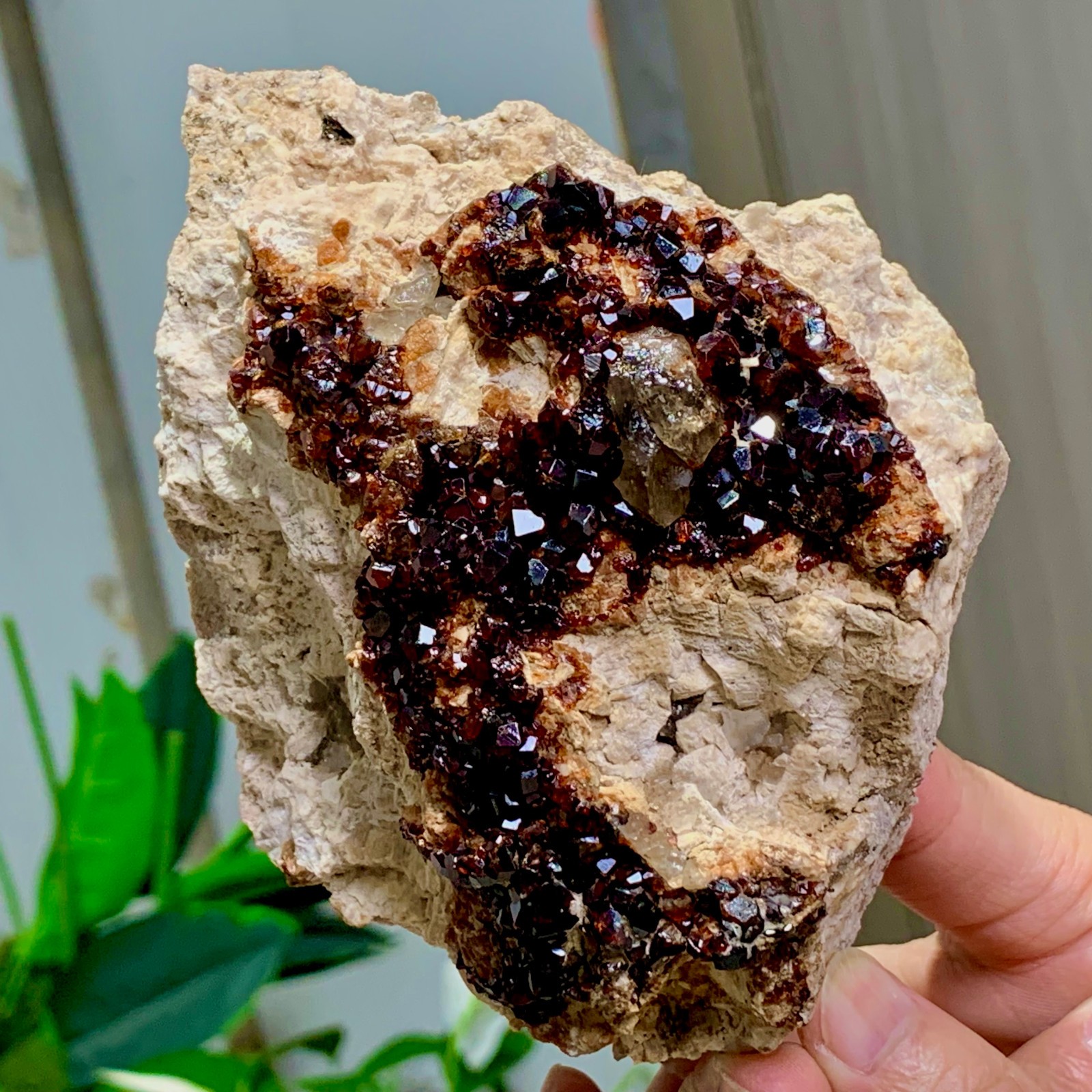 1.92LB Natural Garnet with smokey quartz cluster Crystal Mineral Specimen