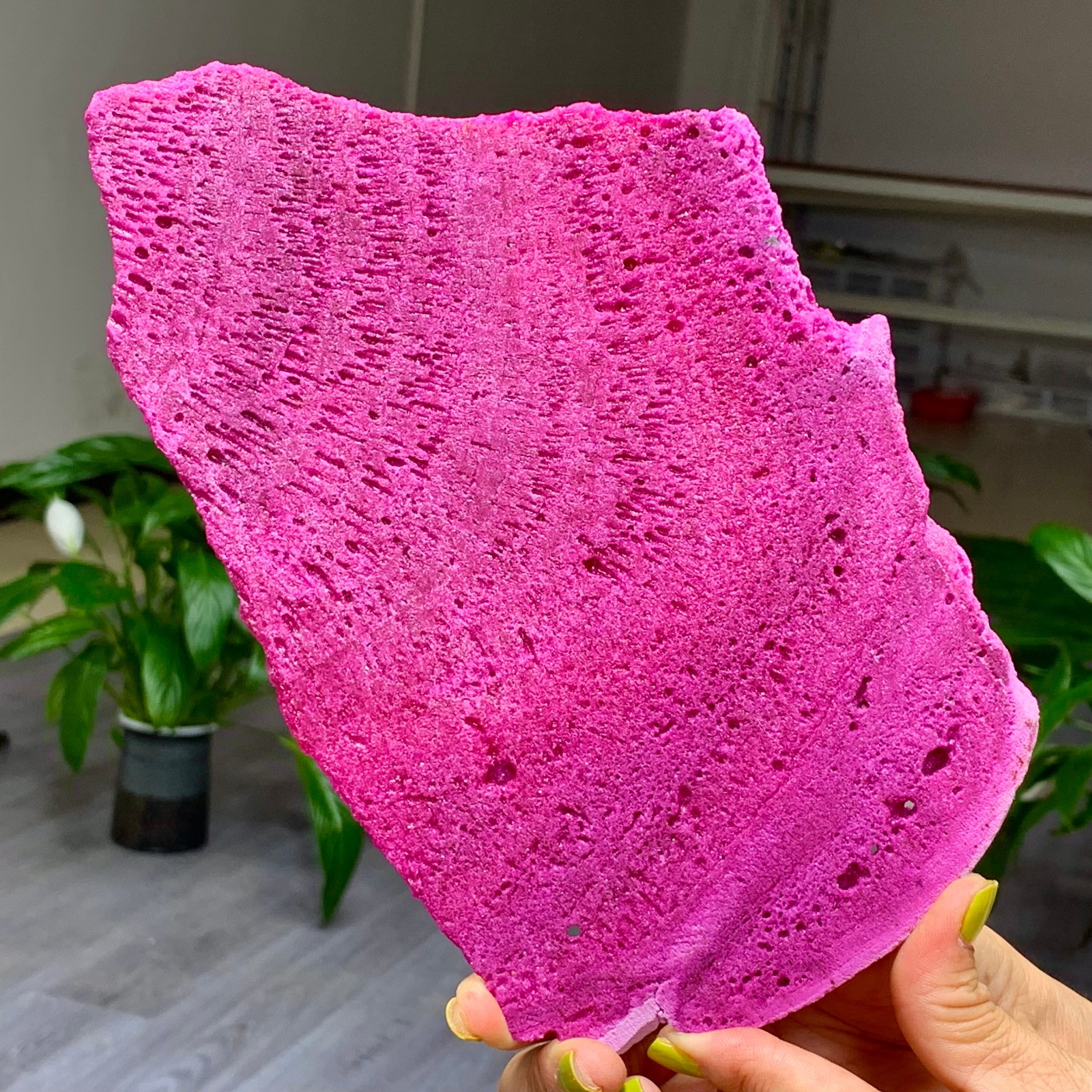 1.14LB Natural Rough Red Corundum Phlogo Pit Mineral Spirits Ruby Raw Gemstone