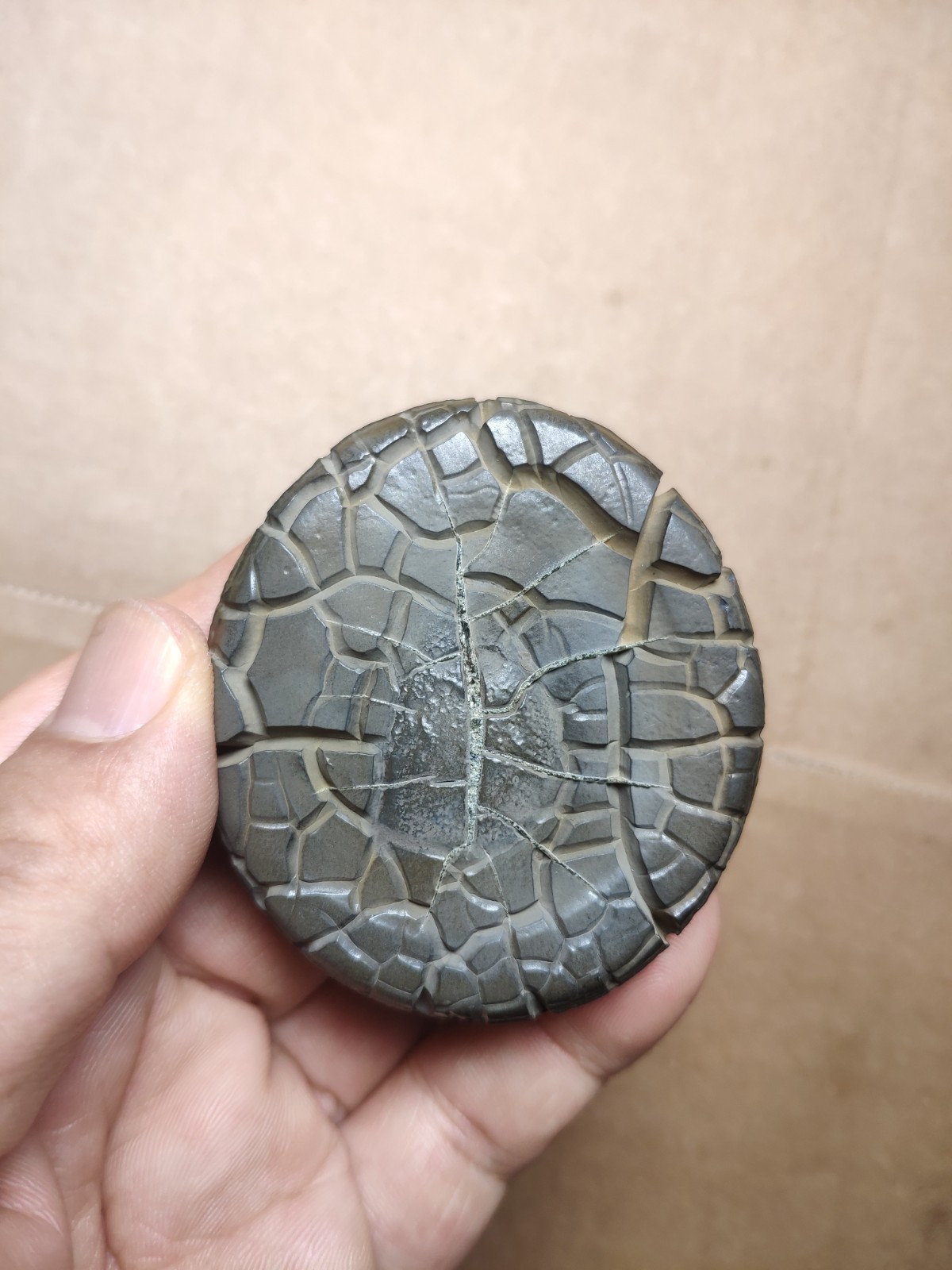 136g beautiful Natural tortoise back pattern stone Landscape stone