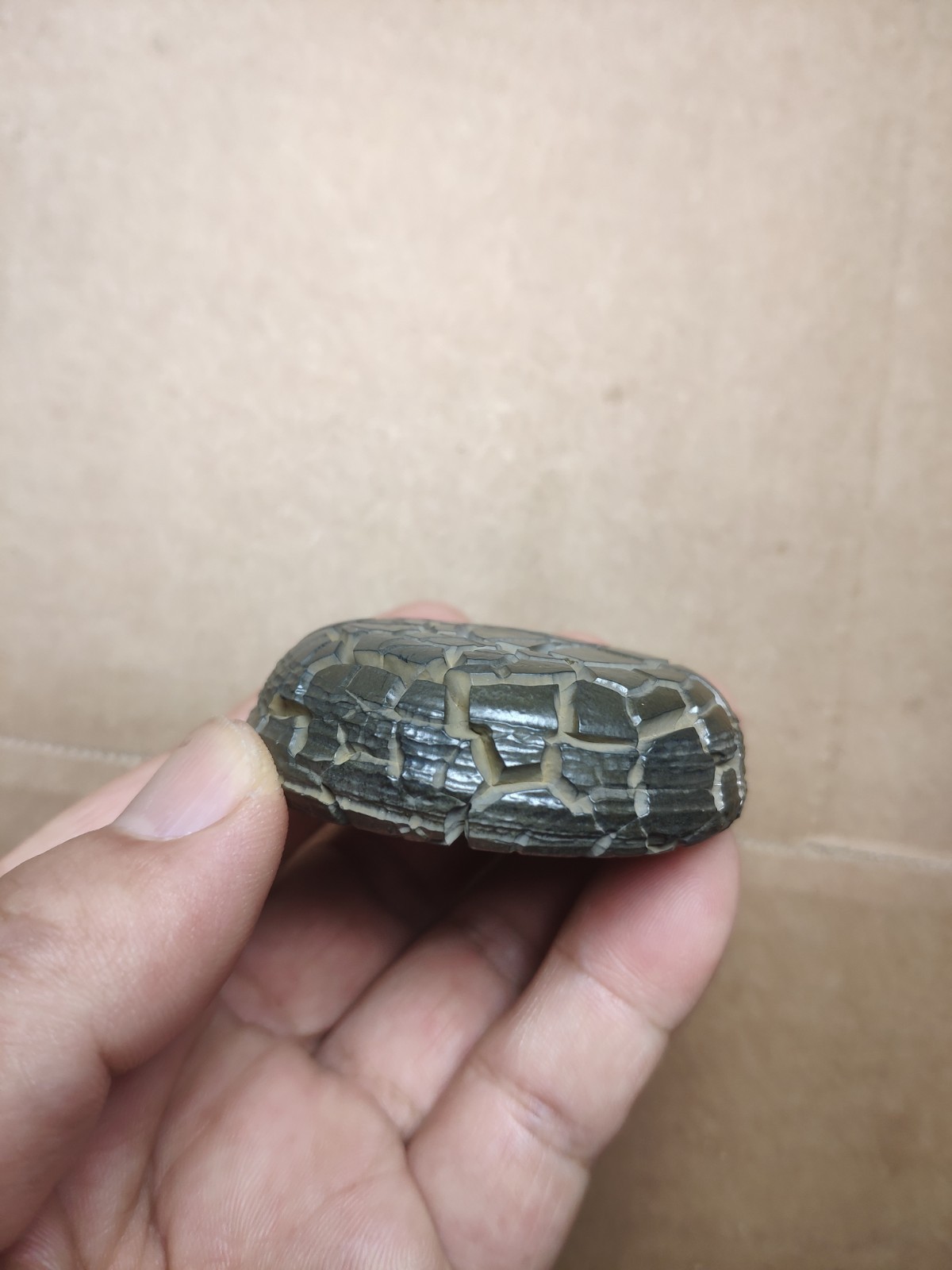 136g beautiful Natural tortoise back pattern stone Landscape stone