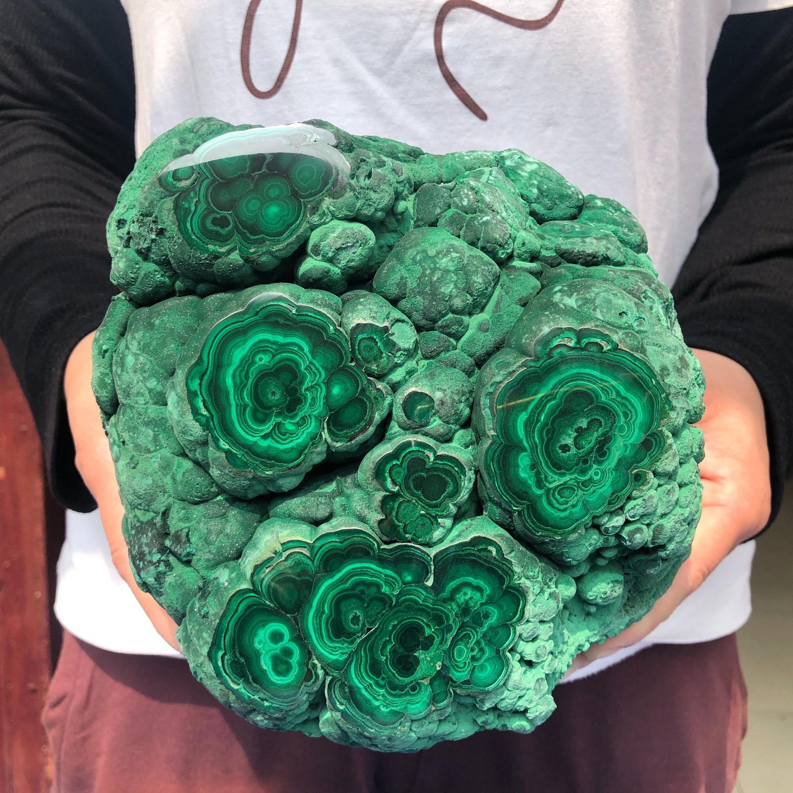 10.4LB Natural glossy malachite cat eye quartz crystal mineral specimen Healing
