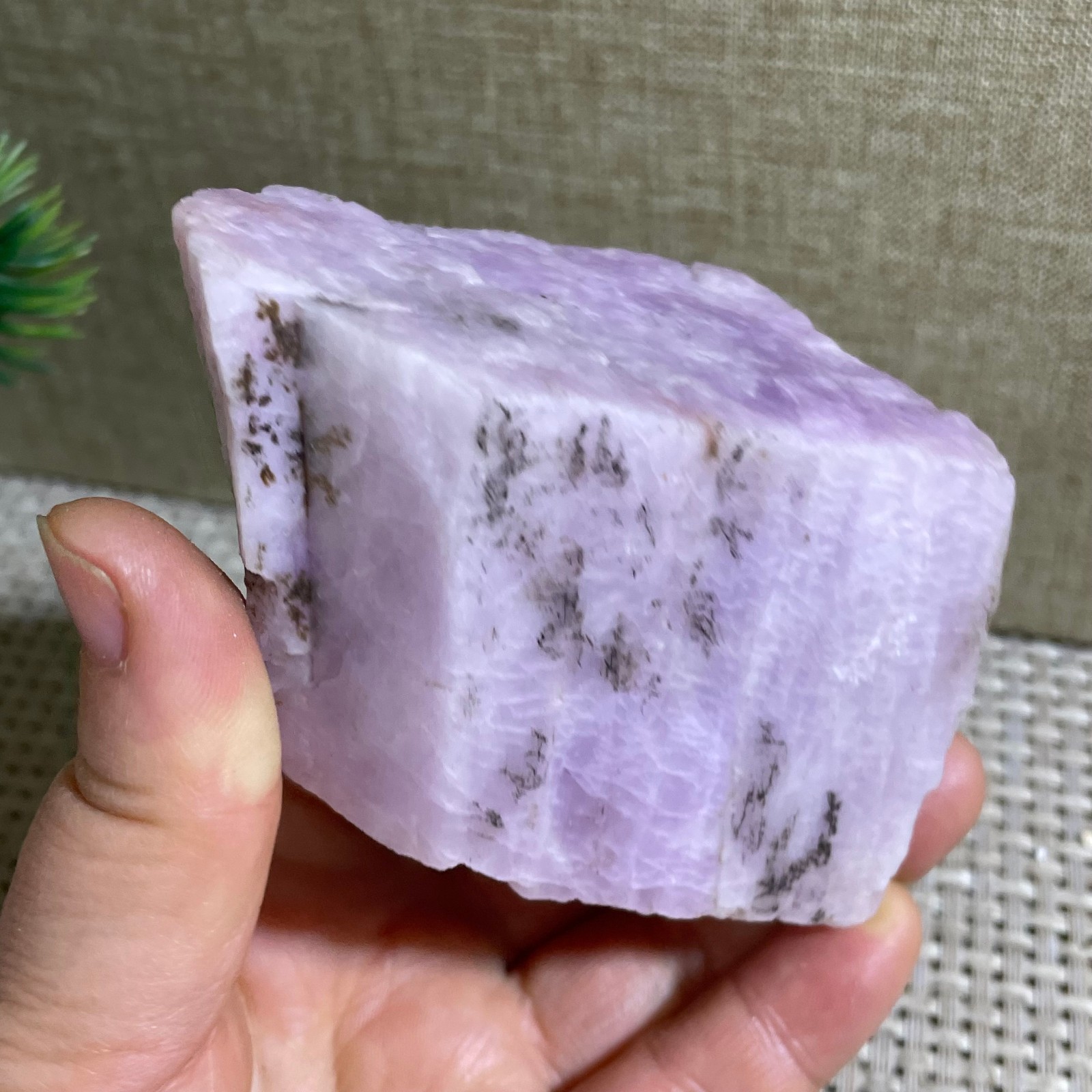 Raw Kunzite Purple Rough Healing Stone Specimens Rocks 303g g22