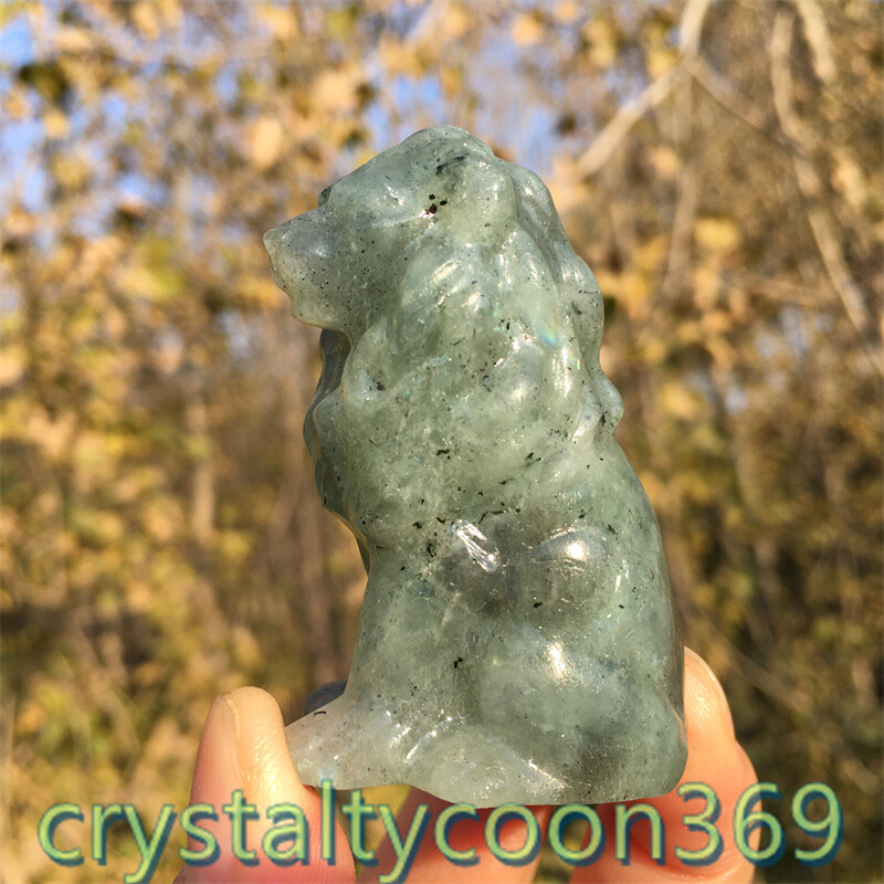 2″+ Natural Labradorite Quartz Carved Lion Crystal Gift Skull Reiki Healing 1pc